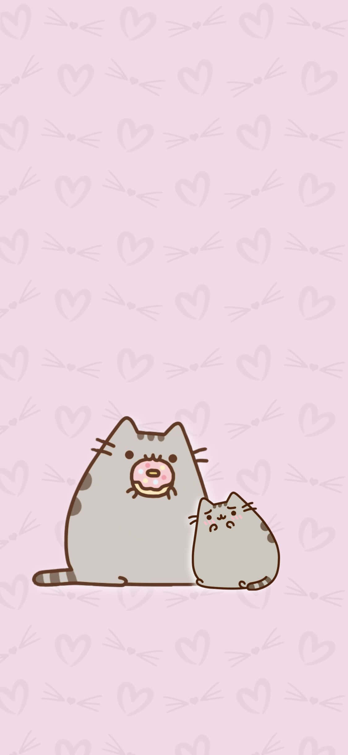 Kawaii söpö kissa syömässä donitsia kuva Taustakuvat