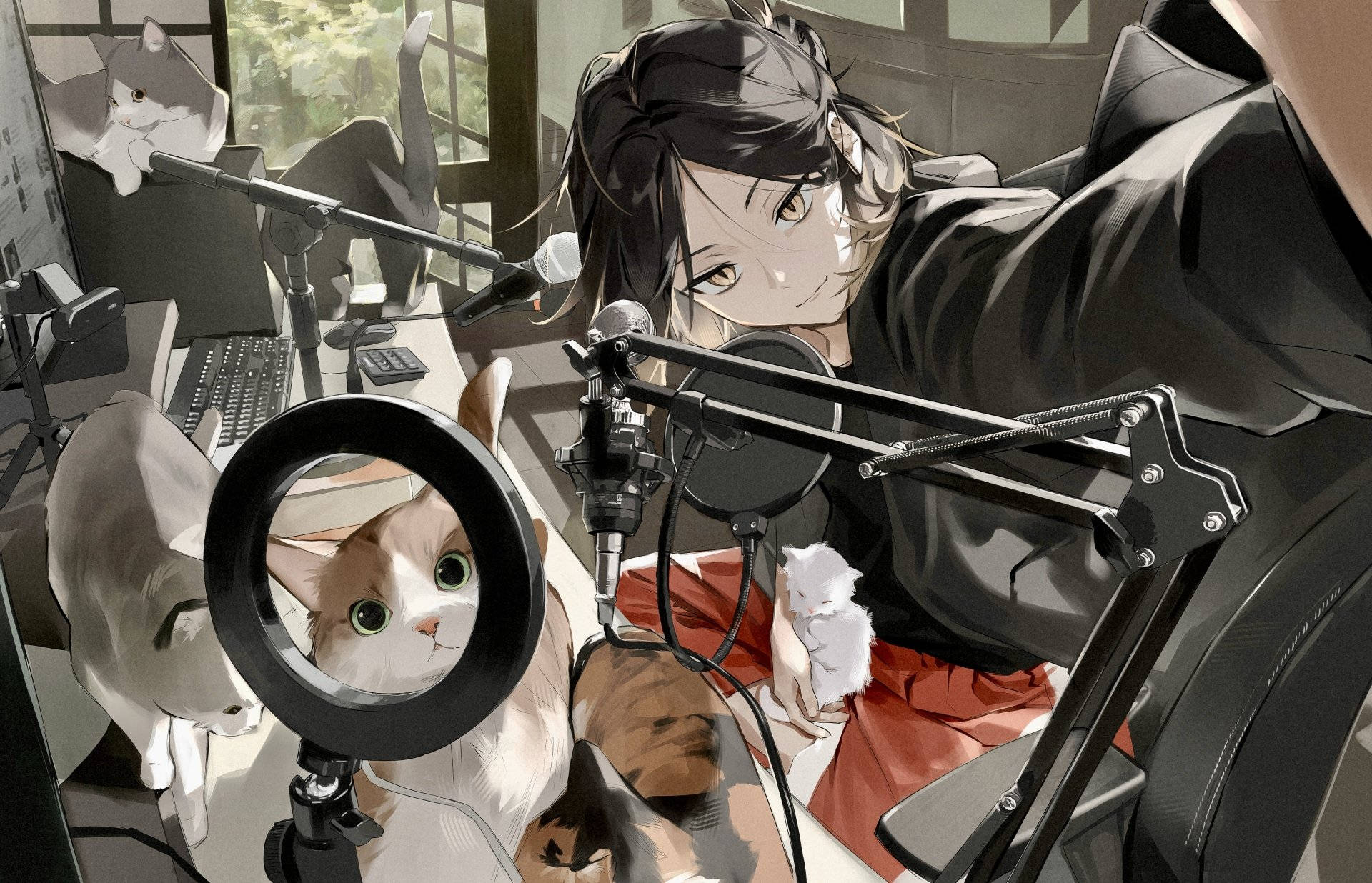 Kenma kissojen kanssa työpöydällään Taustakuvat
