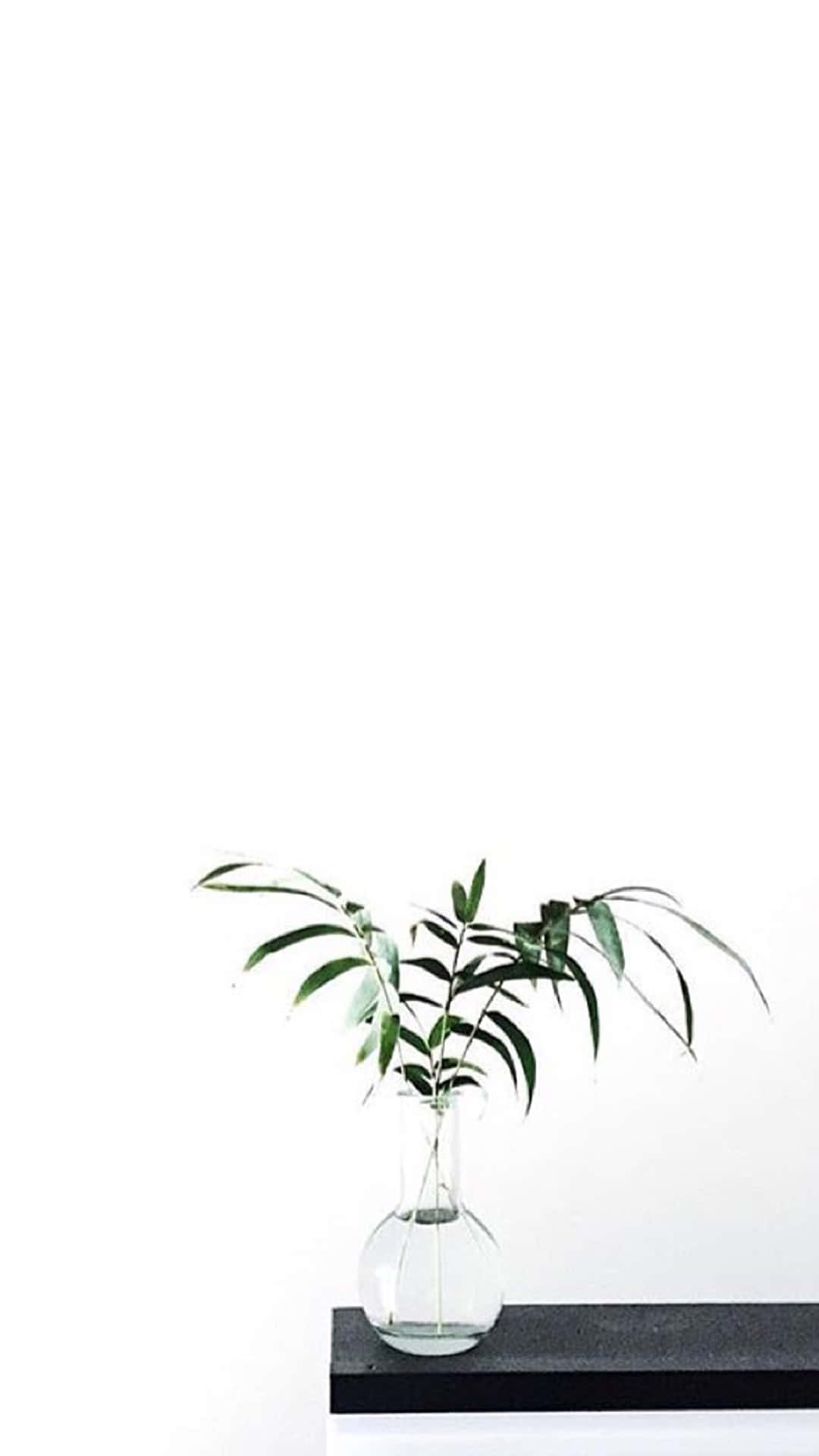 Kerro maailmalle, että Aesthetic White pitää sinut tyylikkäänä. Taustakuvat