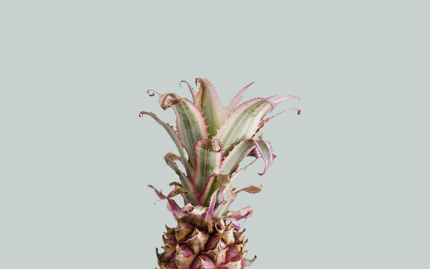 Kesäinen estetiikka vaaleanpunainen ananas Taustakuvat