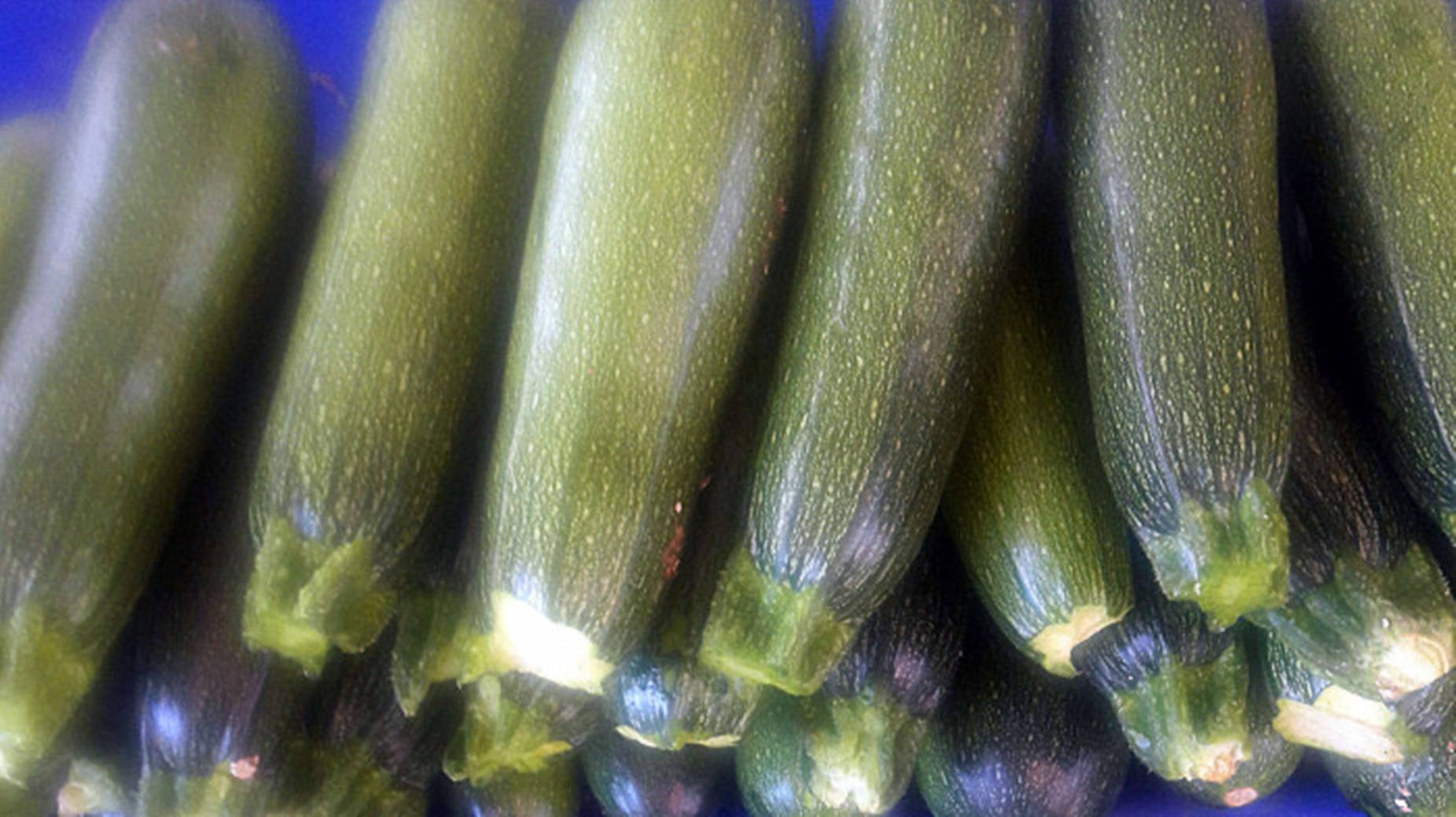 Kesäkurpitsa Baby Marrow -lajike Taustakuvat