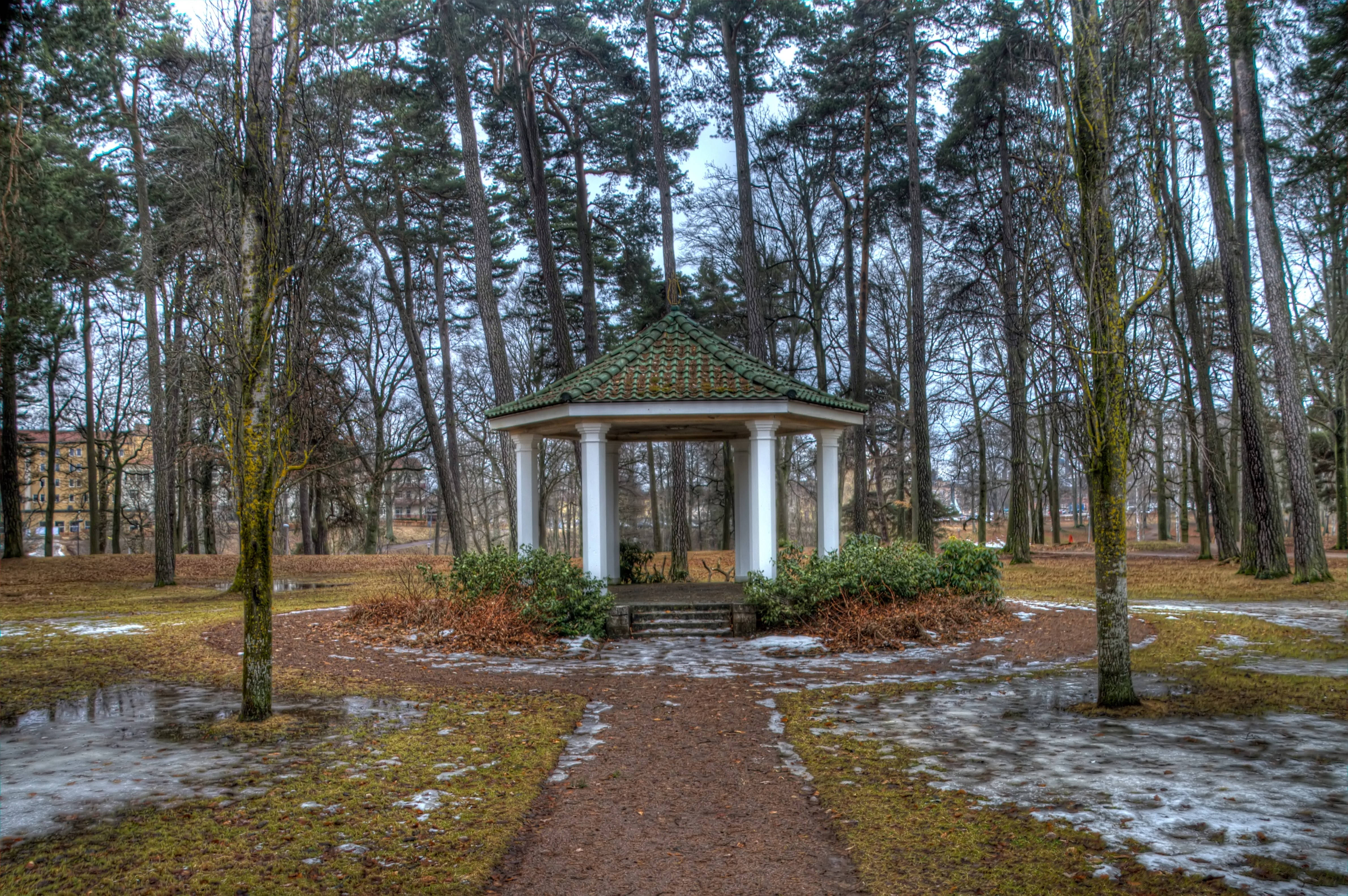 Kevätkauden puisto Taustakuvat