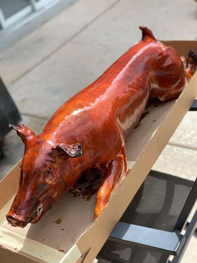 Kiiltävä Lechon Taustakuvat
