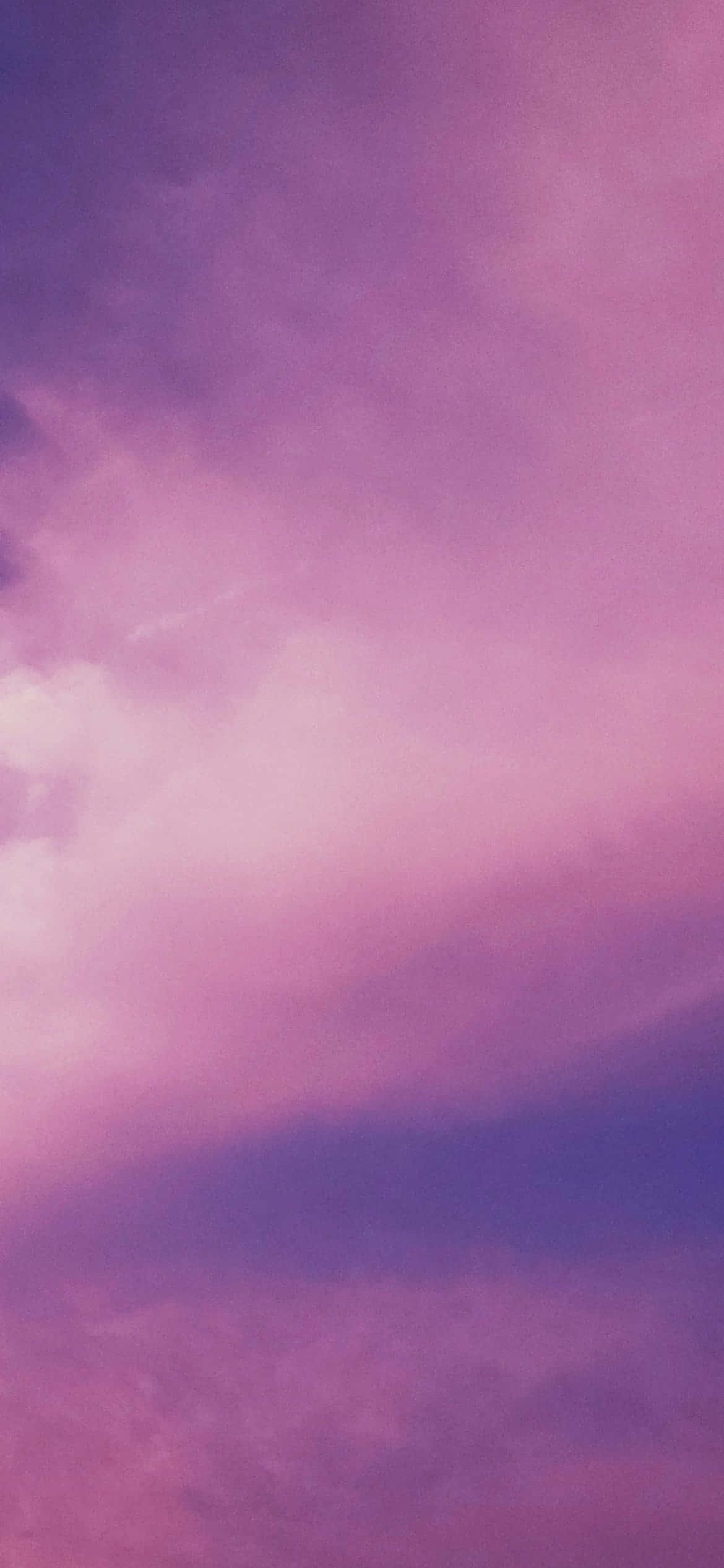 Kirkas ja värikäs yhdistelmä violettia ja pinkkiä Taustakuvat