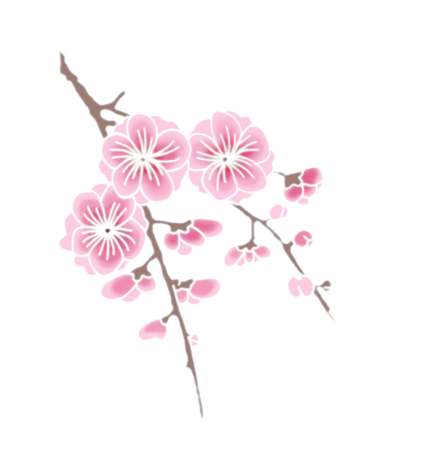 Kirsikankukka oksalla Taustakuvat