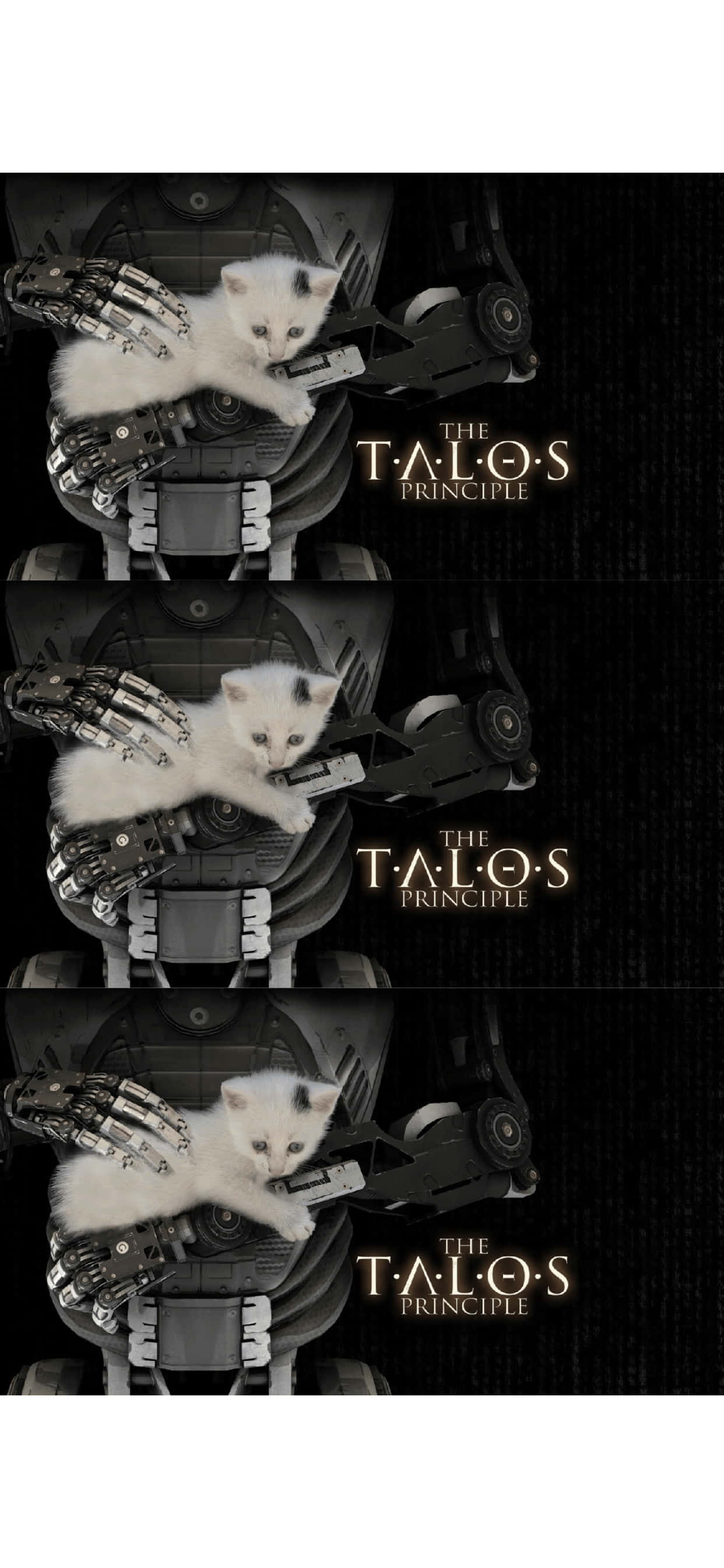 kissa istuu robotin päällä Taustakuvat