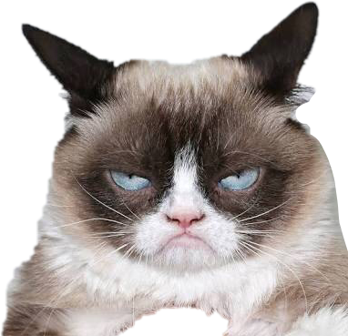 Kissan ärtynyt ilme.PNG Taustakuvat