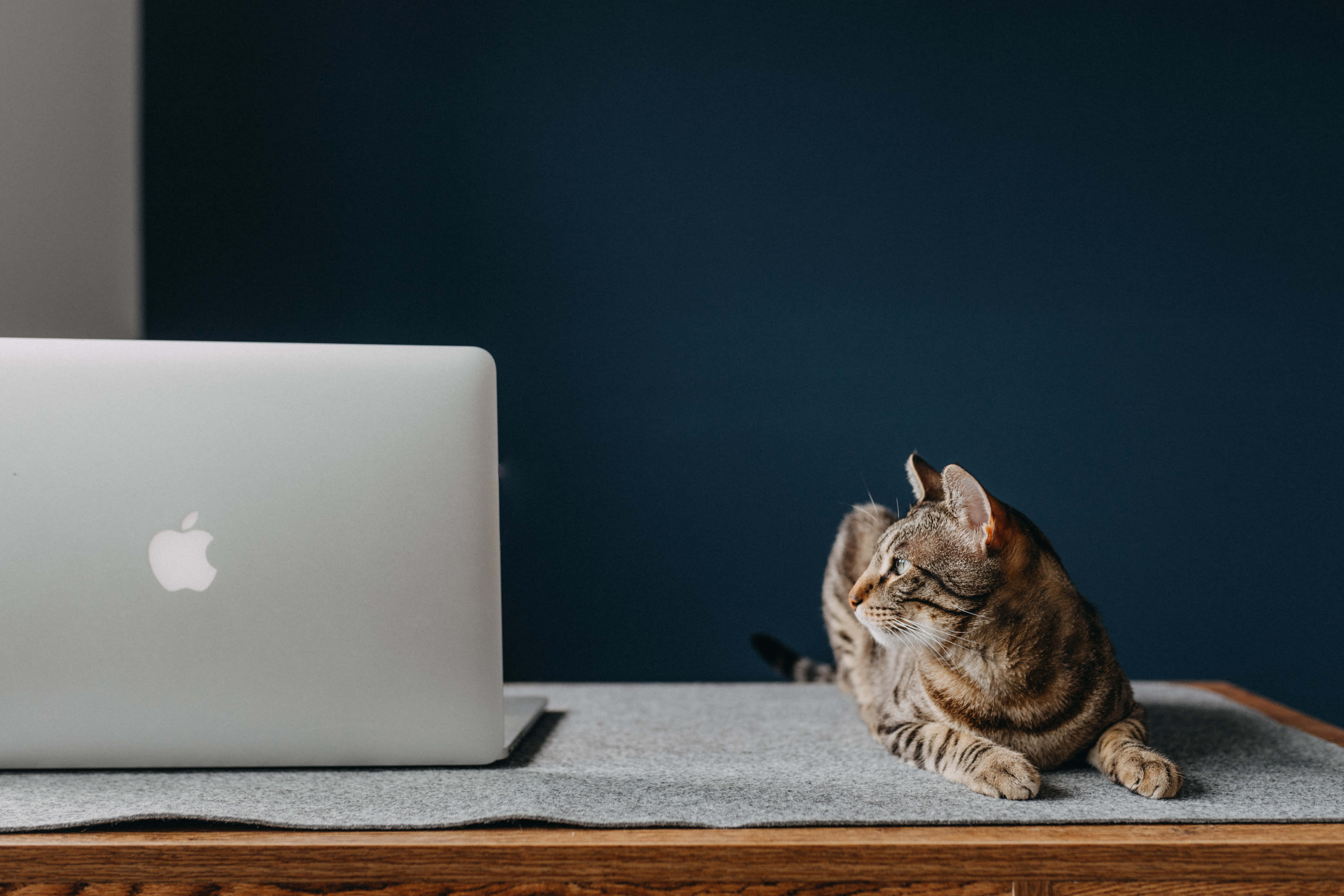 Klassinen Macbook-kannettava minimalistisella asettelulla Taustakuvat