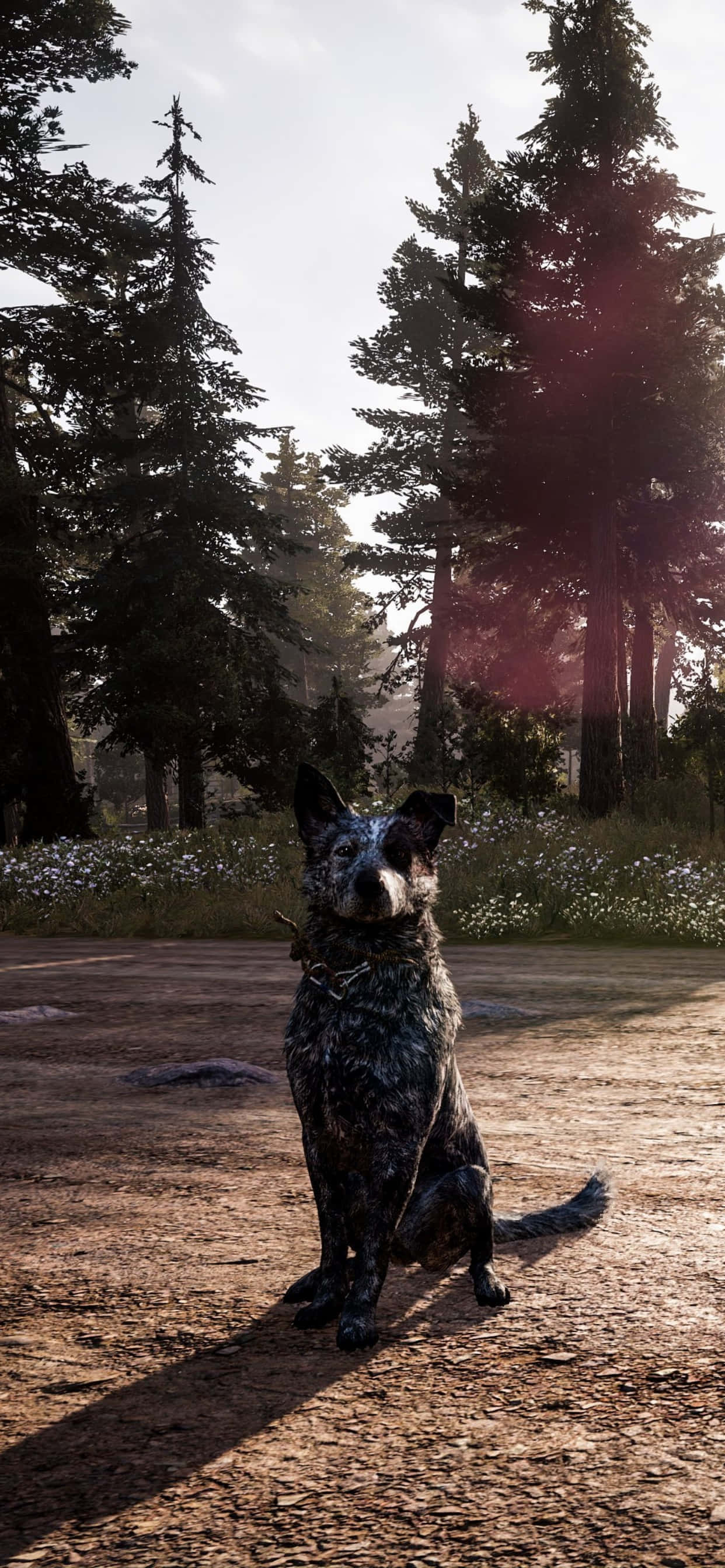 Koe mukaansatempaava Far Cry 5 -maailma iPhone Xs Maxillasi Taustakuvat