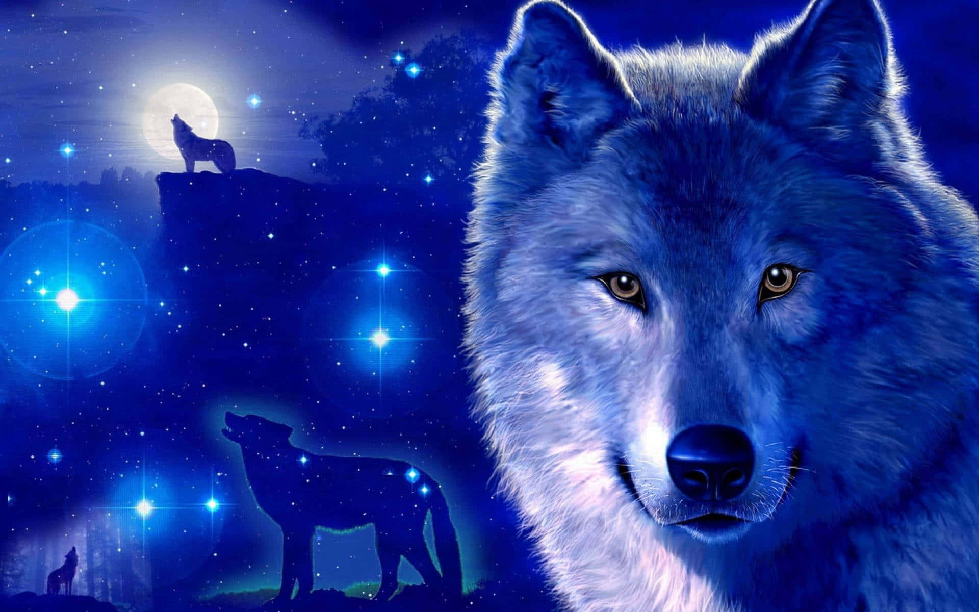 Koe tähtien kauneus Galaxy Wolf -teemalla Taustakuvat