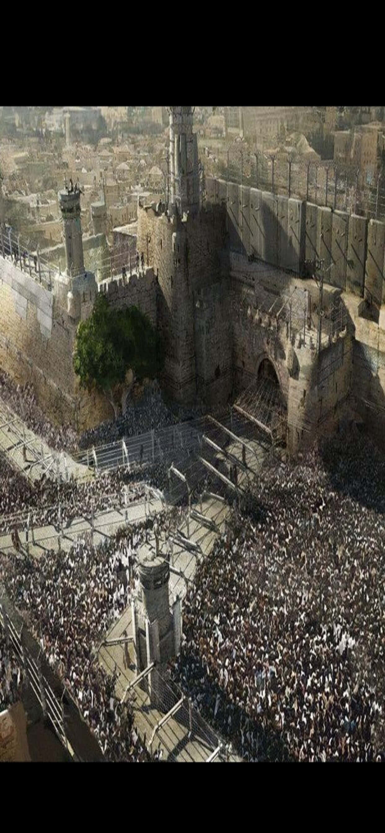 Konseptitaide iPhone XS Max World War Z -taustakuva Taustakuvat