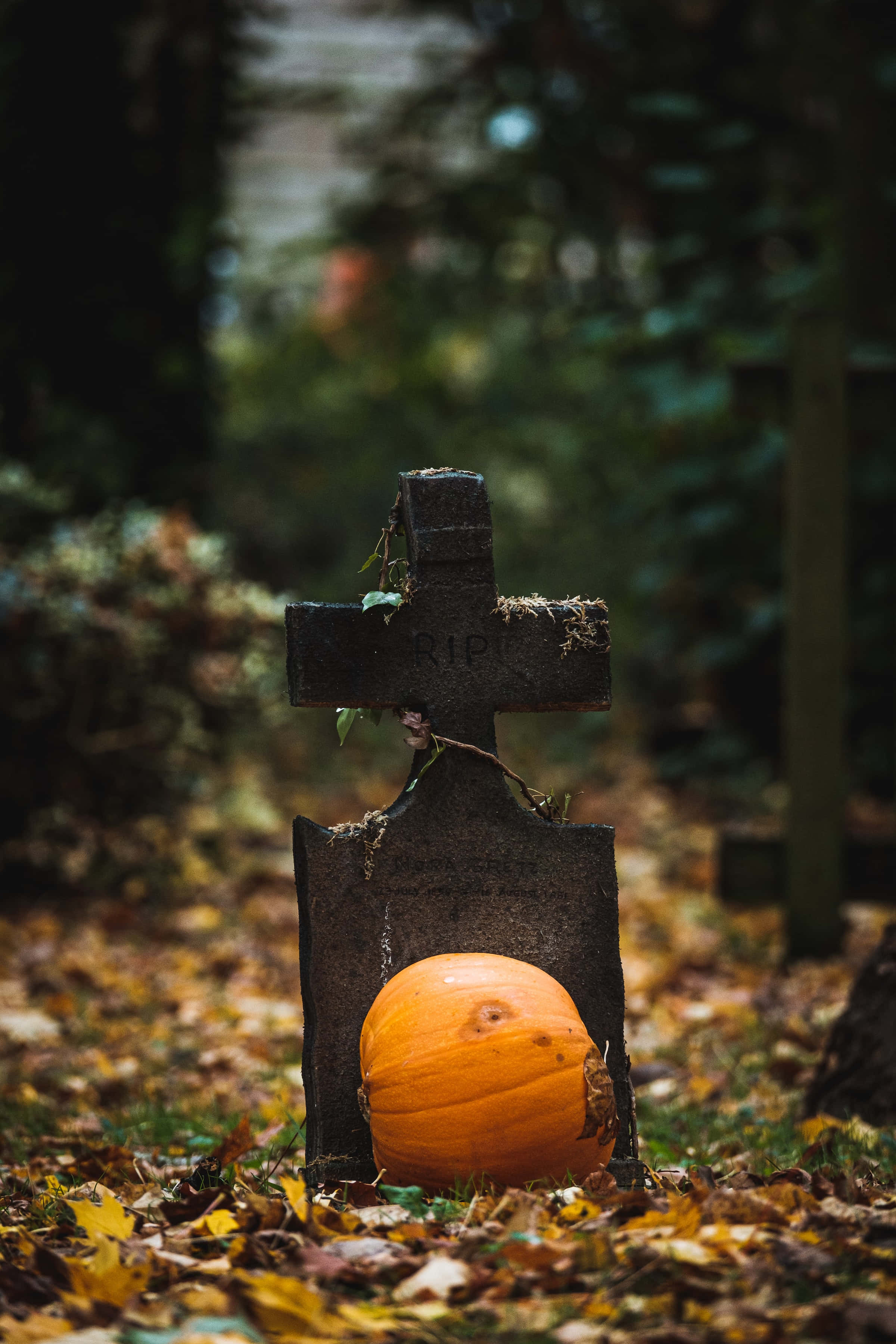Korkearesoluutioinen hautausmaa Halloween-taustakuva Taustakuvat