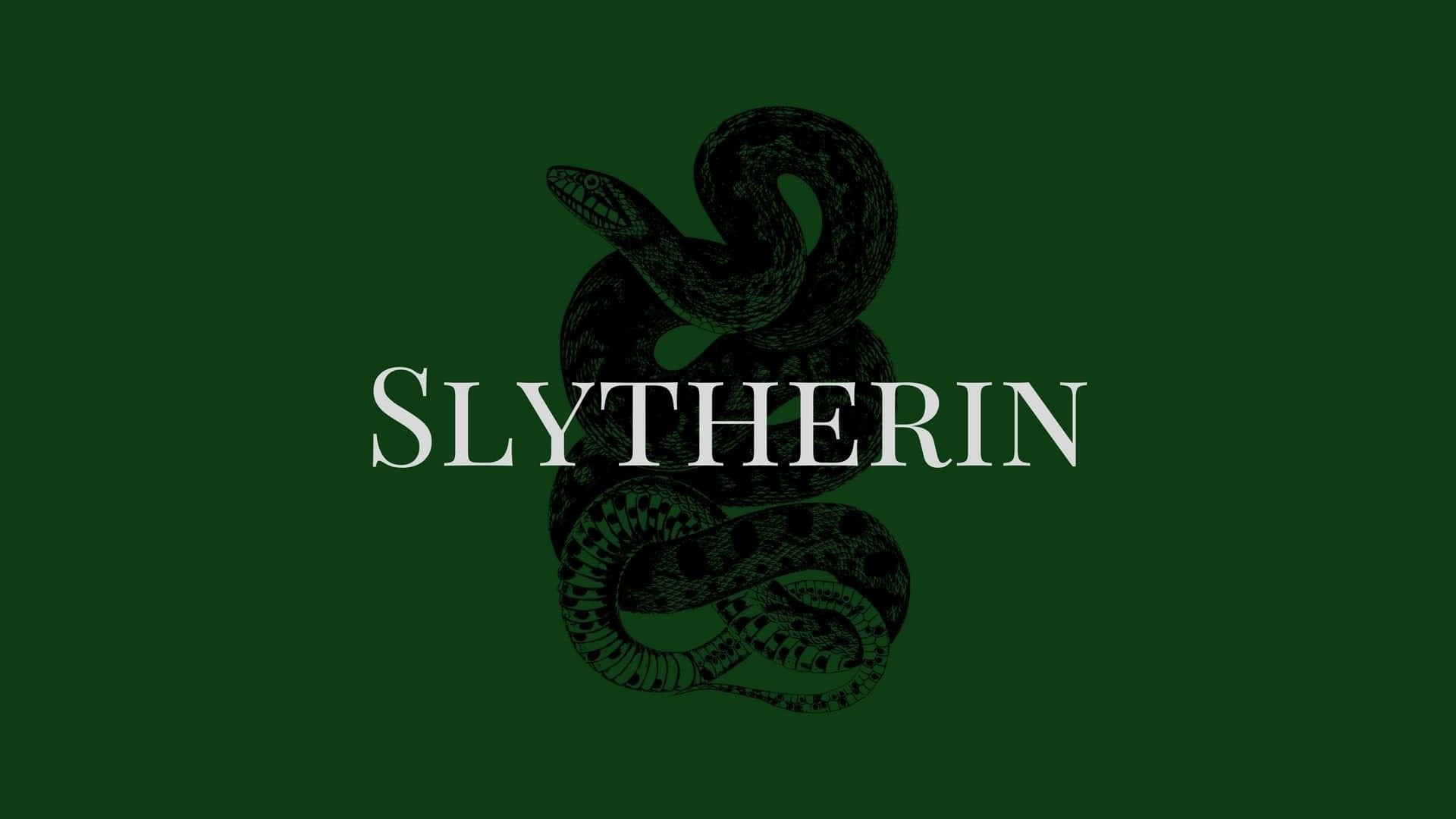 Kuka voittaa Gryffindorien ja Slytherinien eeppisessä taistelussa? Taustakuvat