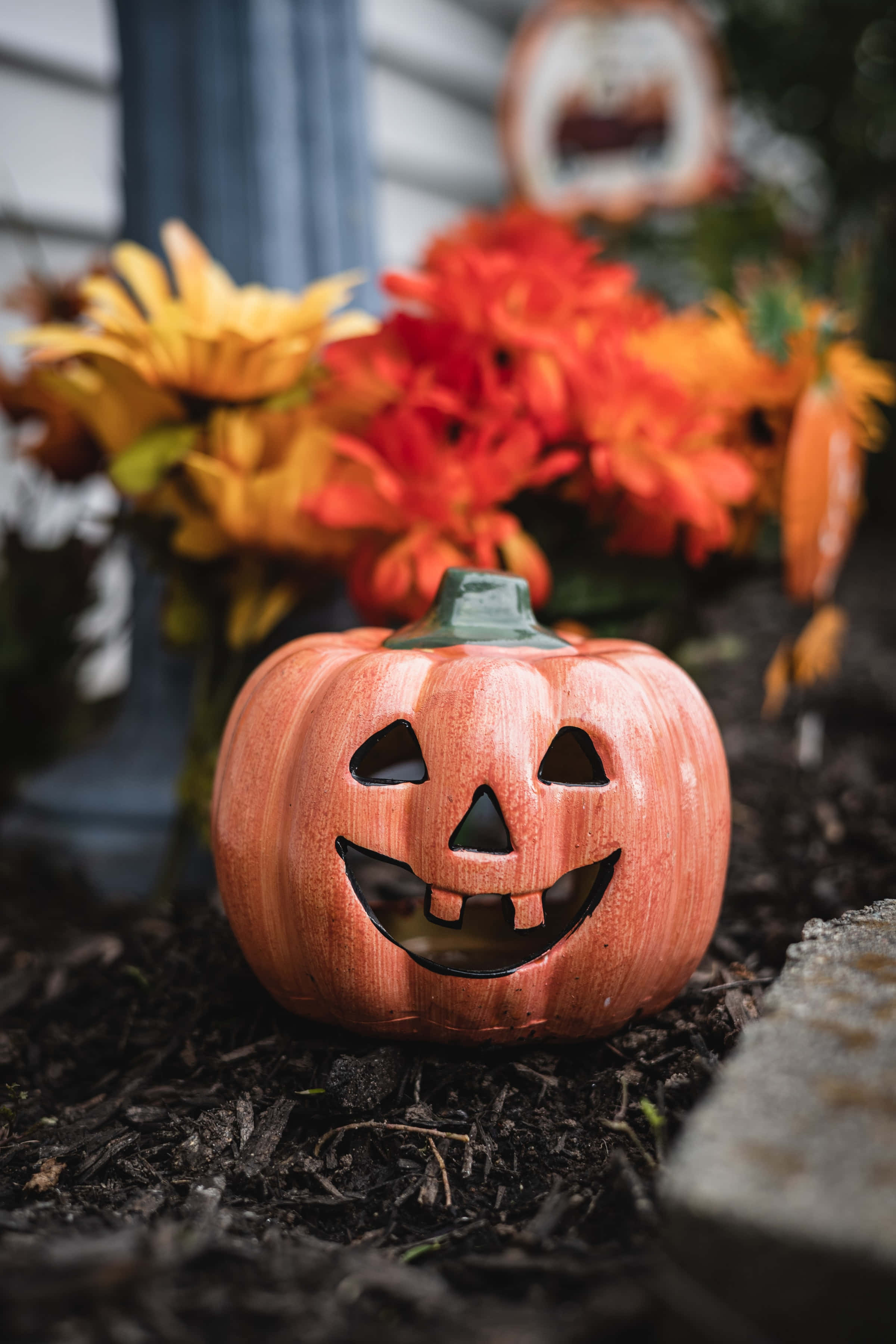 Kukka Kurpitsa Korkean Resoluution Halloween Tausta Taustakuvat