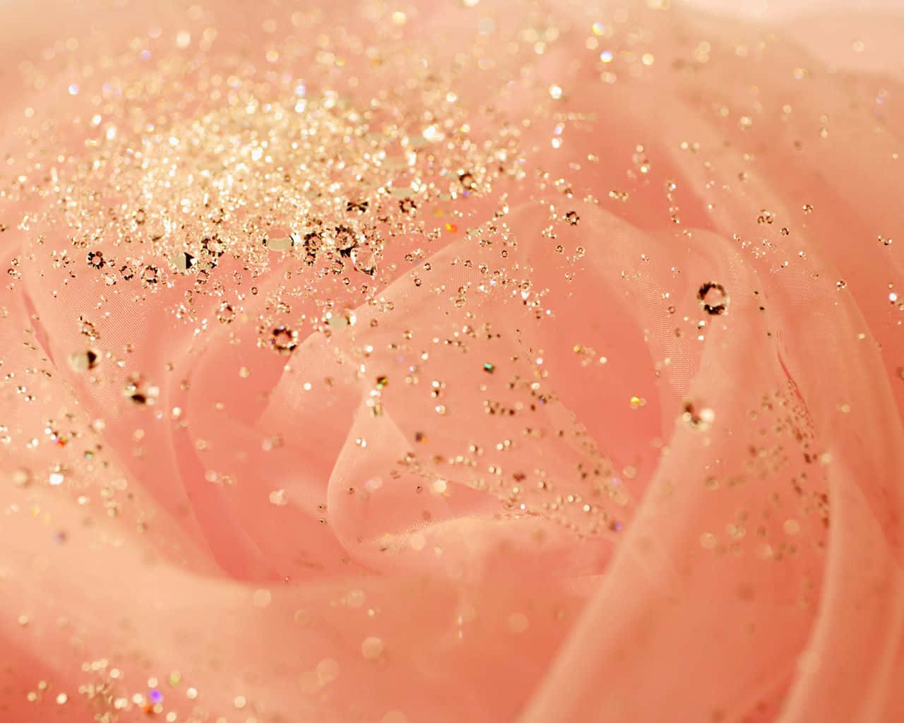 Kukka ruusukultaisella glittertaustalla Taustakuvat