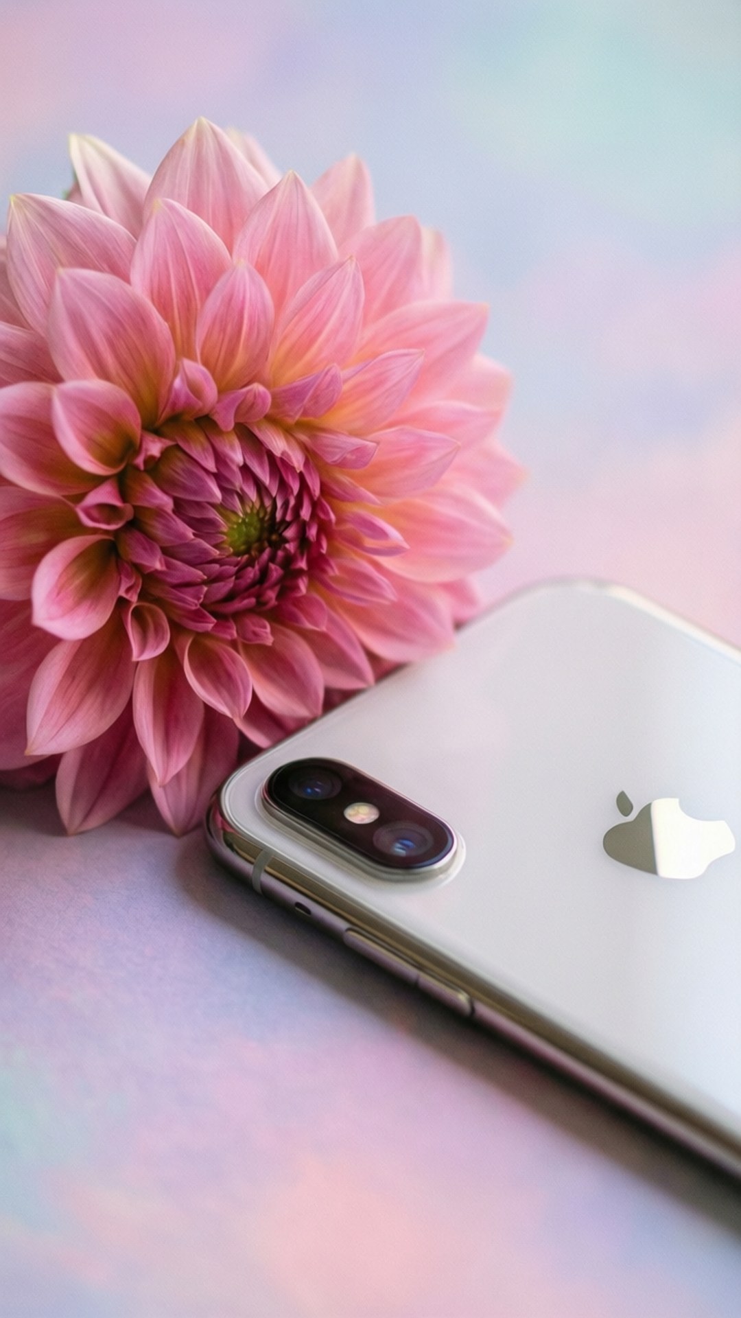Kukkien eleganssi iPhone XR Taustakuvat