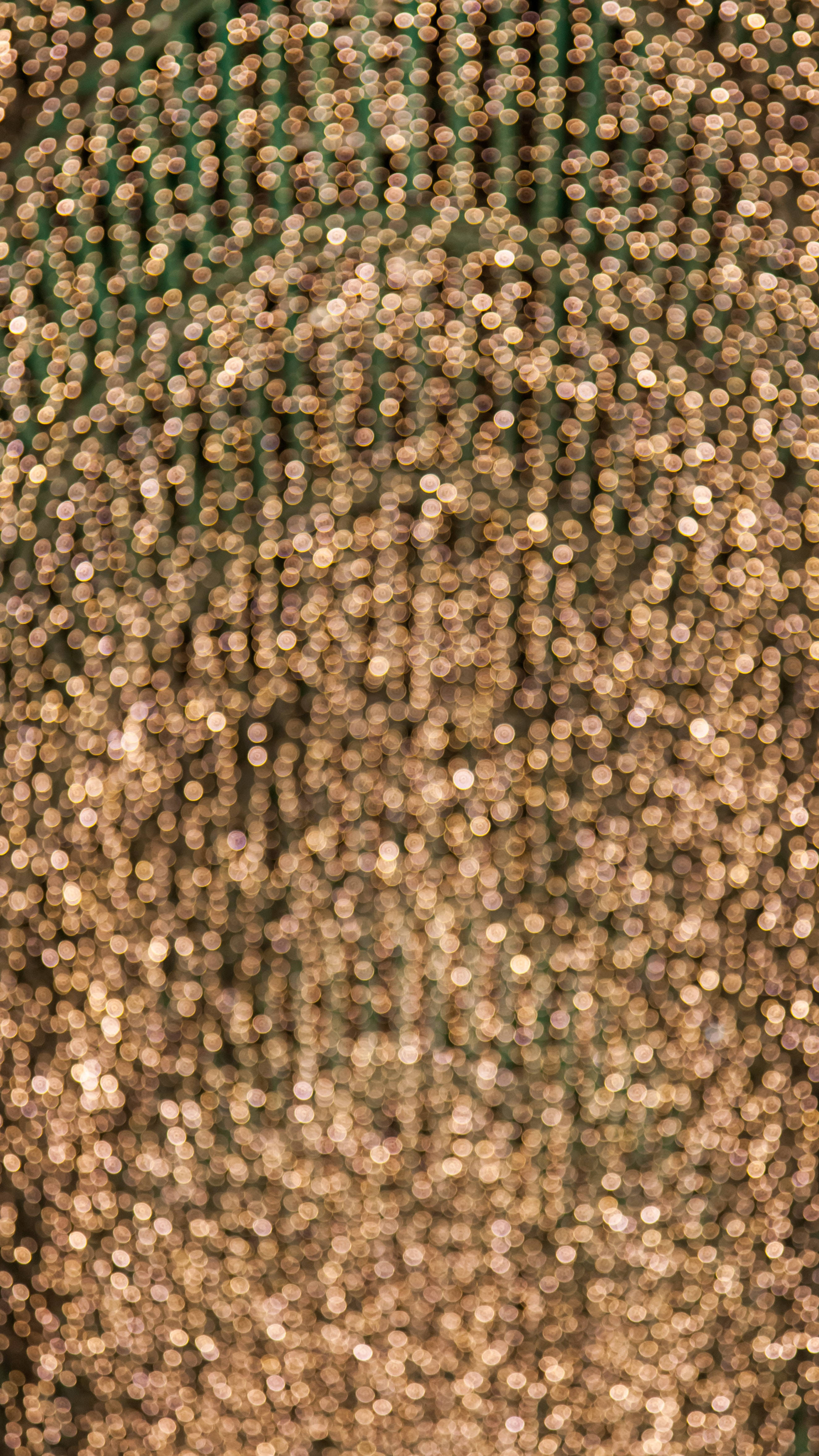 Kultainen bokeh-estetiikkakuvio Taustakuvat