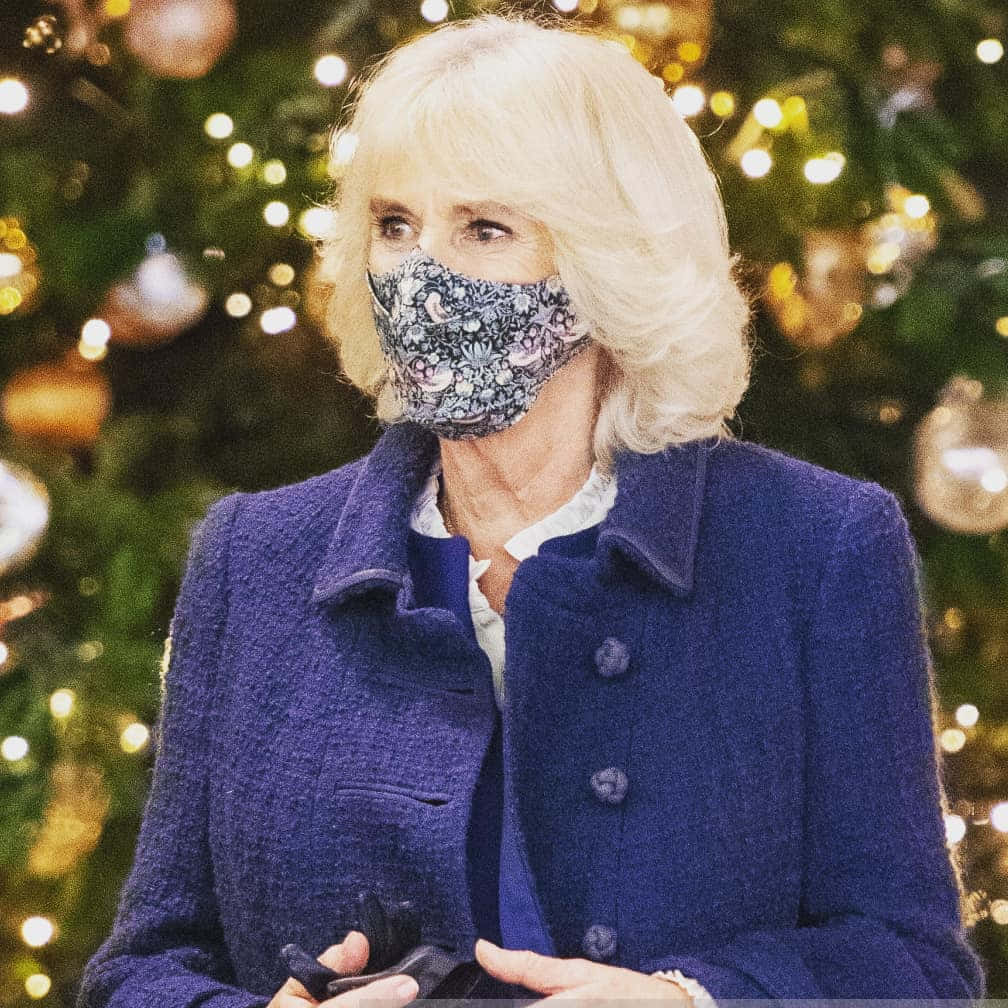 Kuningatar Camilla joulukuusen kanssa Taustakuvat