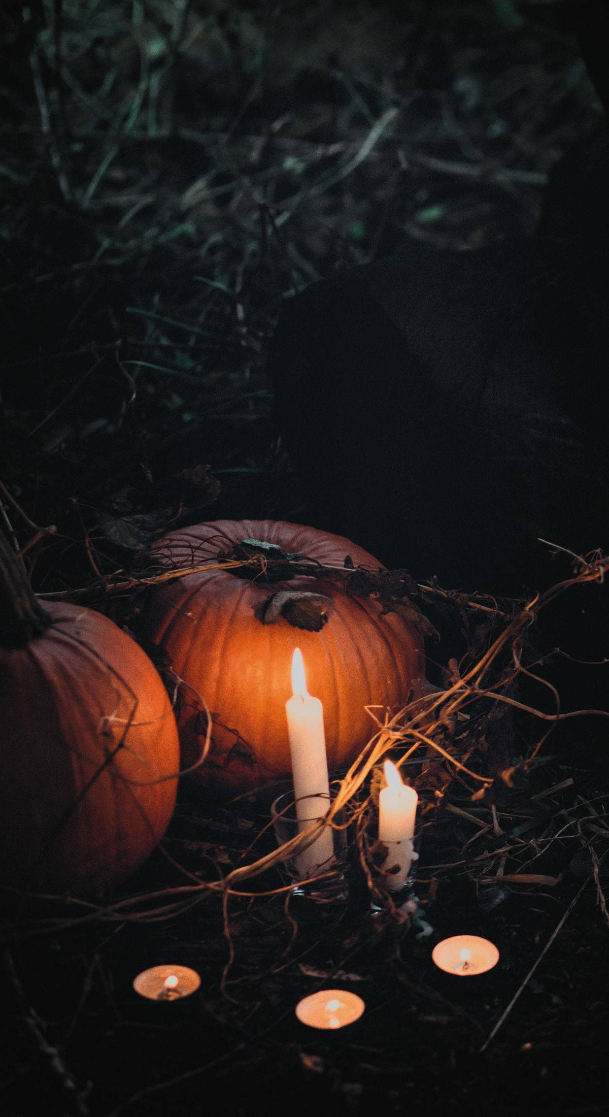 Kurpitsa ja kynttilä Halloween iPhone Taustakuvat