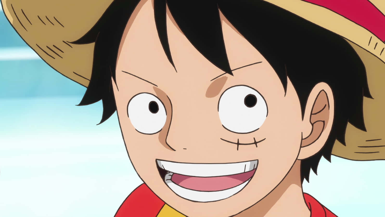 Kuva Monkey D. Luffy, saatuaan tietää kohtalostaan merirosvokuninkaana. Taustakuvat