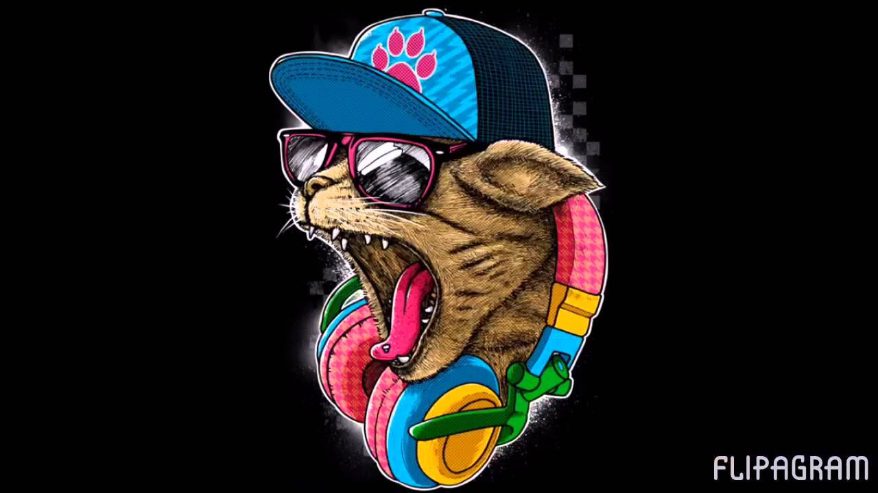 Kuvateksti: Funkkari Punk Rock -kissa Taustakuvat