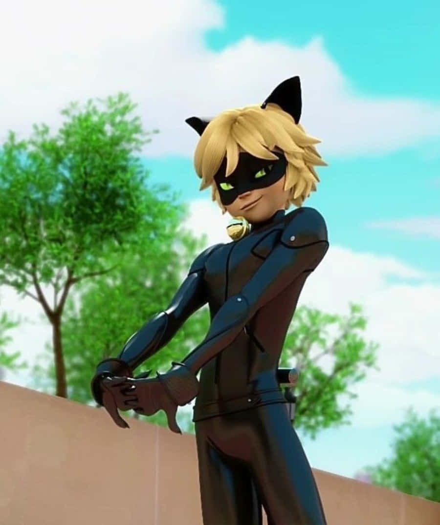 Kylmin kissa kaupungissa - Cat Noir Taustakuvat