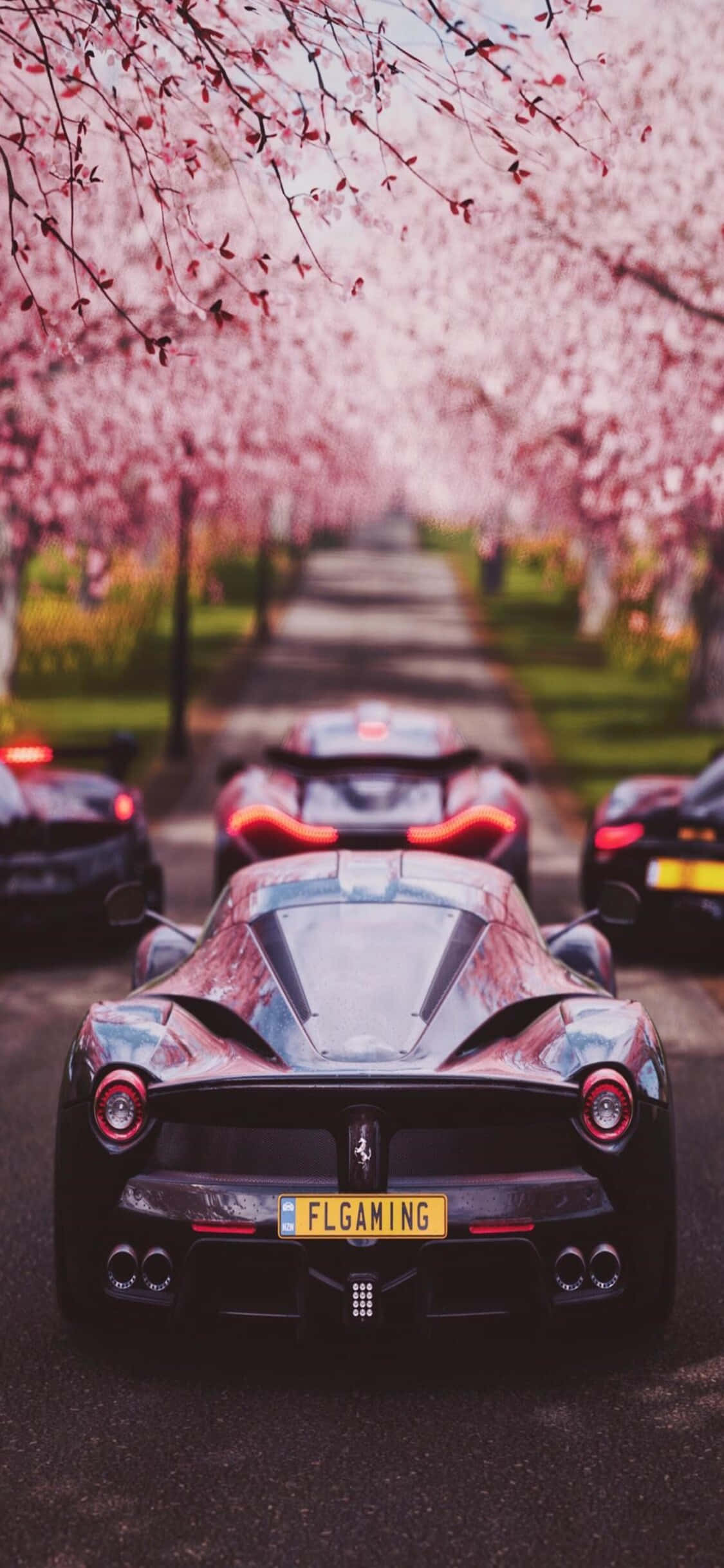 La Ferrari iPhone X Forza Motorsport 7 -taustakuva Taustakuvat