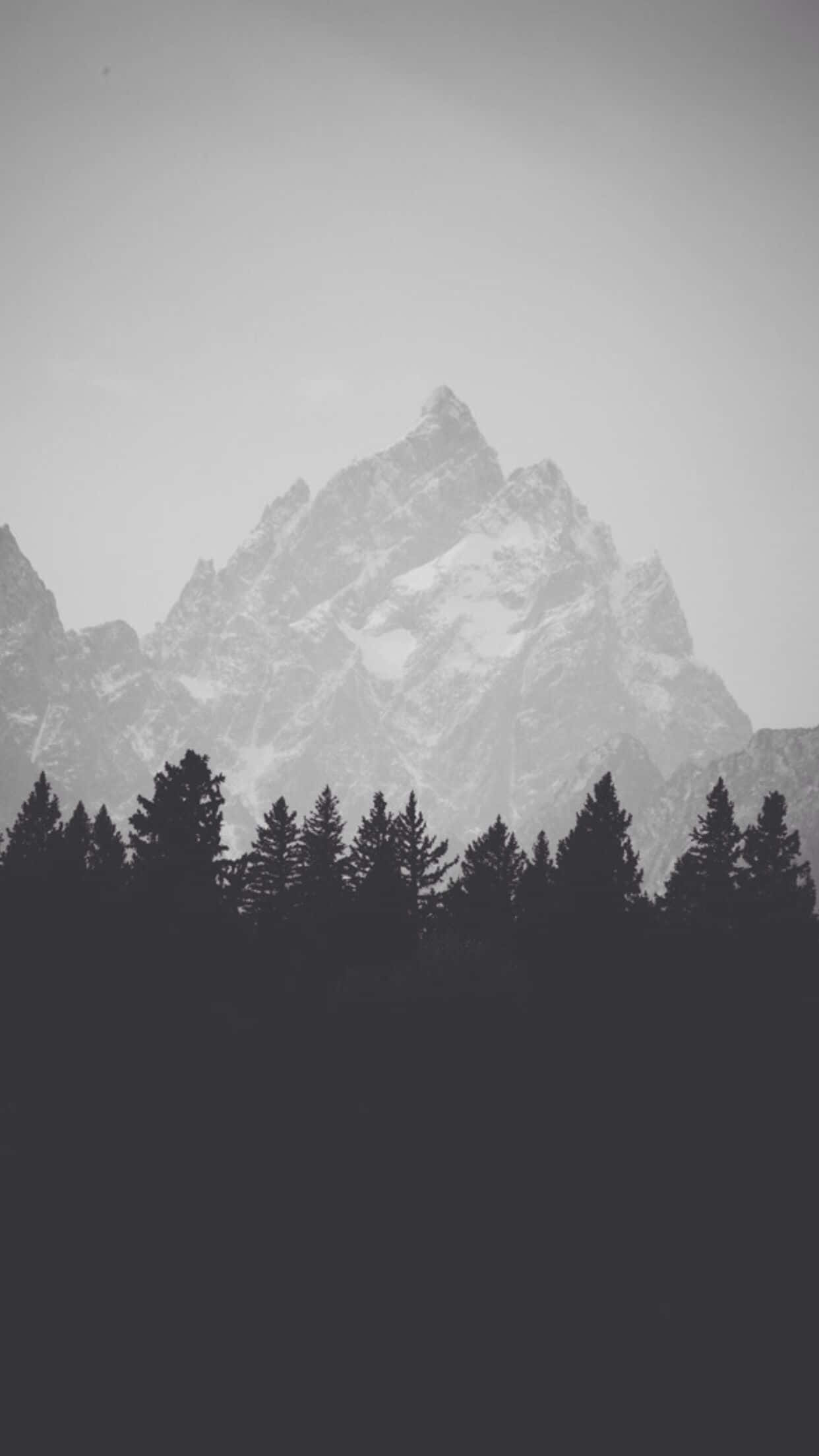 Lähikuva iPhone 7 Plus -puhelimesta. Taustakuvat