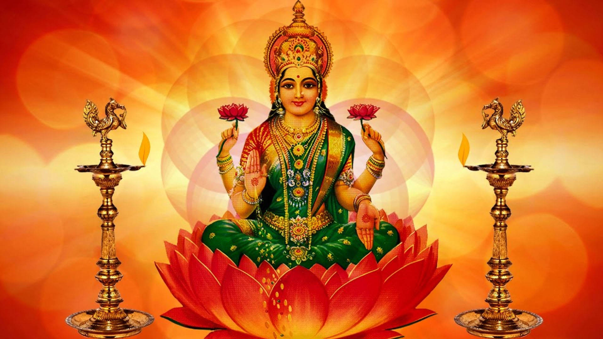 Lakshmi punaoranssi lootus Taustakuvat