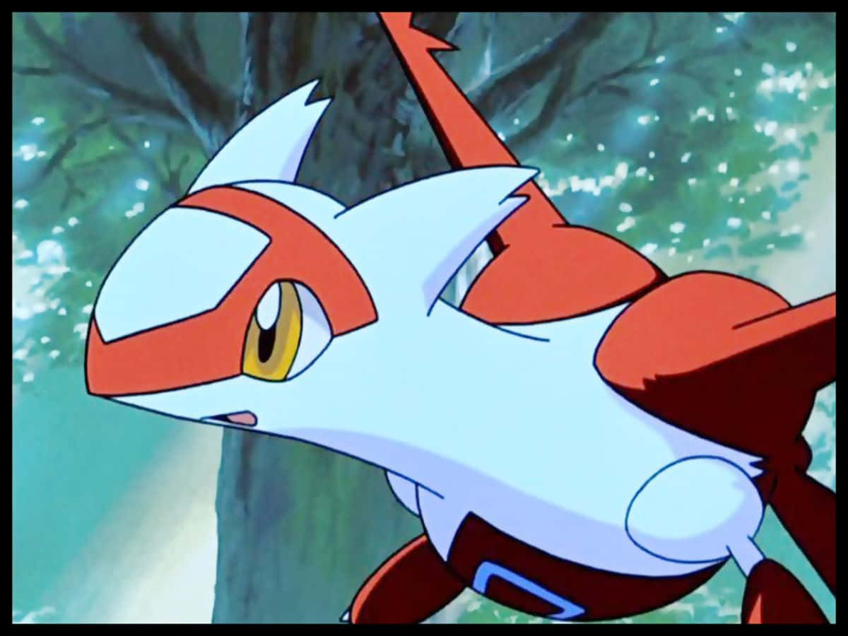 Latias puun kanssa taustalla Taustakuvat