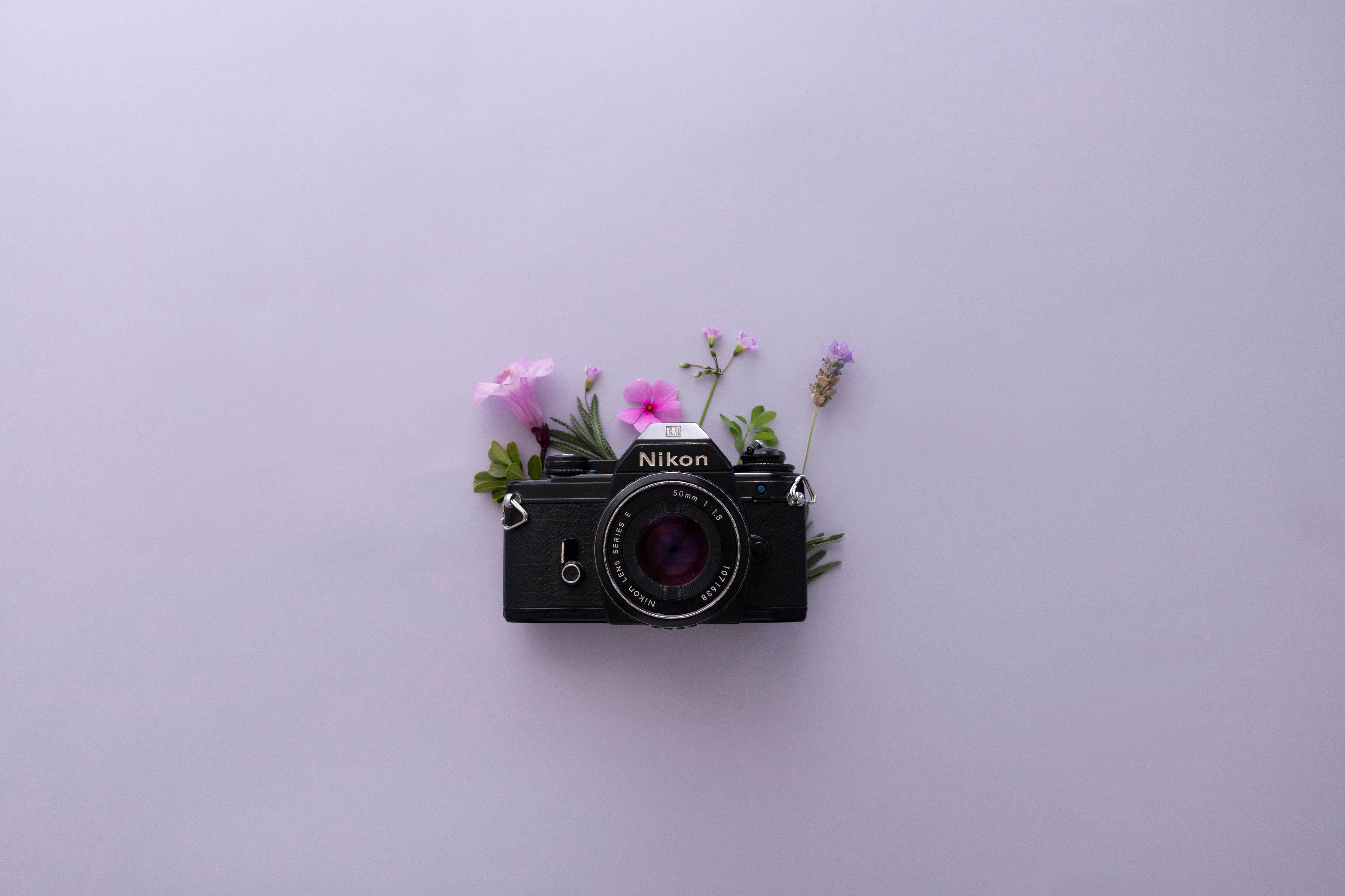 Laventeli-estetiikka ja Nikon-kamera Taustakuvat