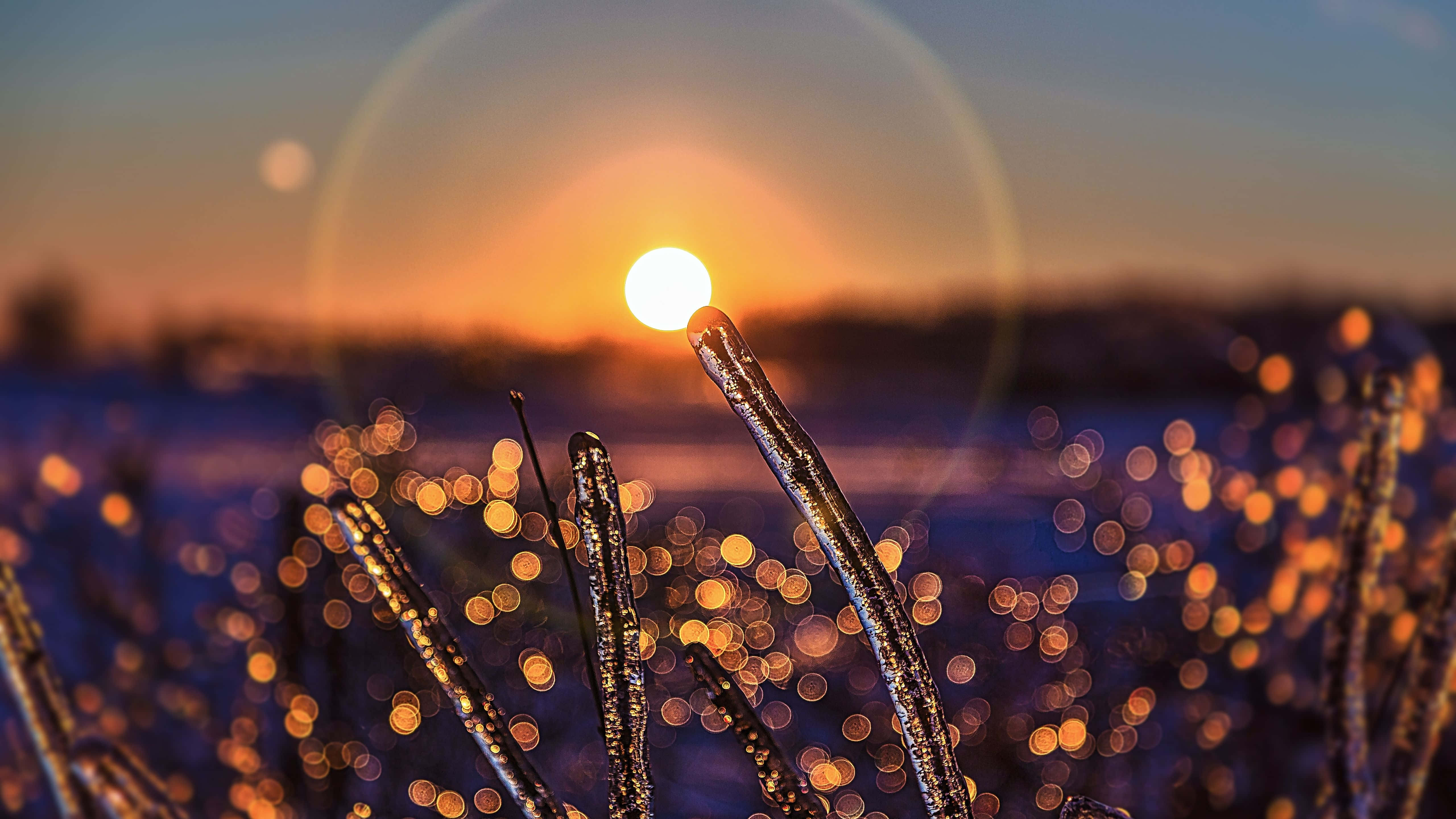 Lennä ja tavoita aurinko Taustakuvat