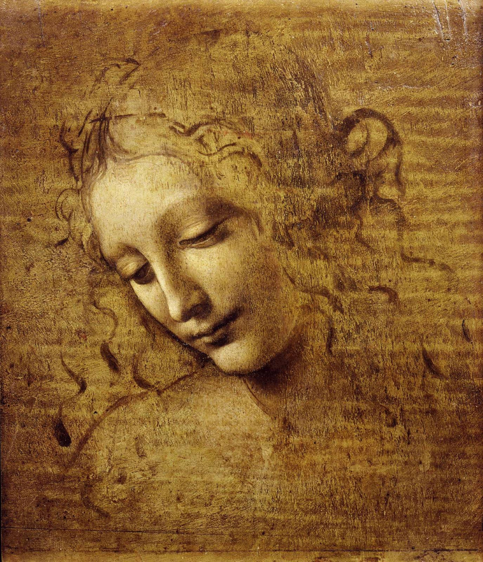 Leonardo Da Vinci Naisen Pää -maalaus Taustakuvat