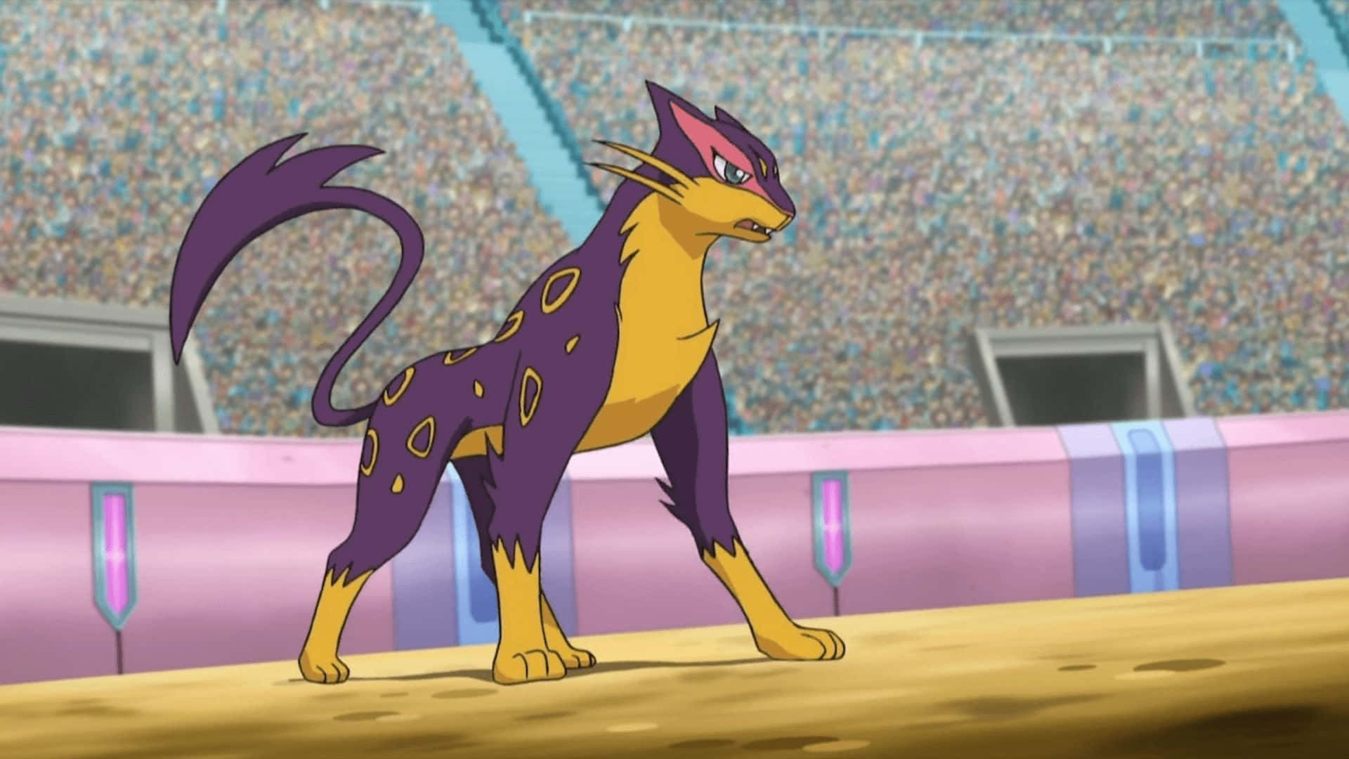 Liepard Stadionilla Taustakuvat