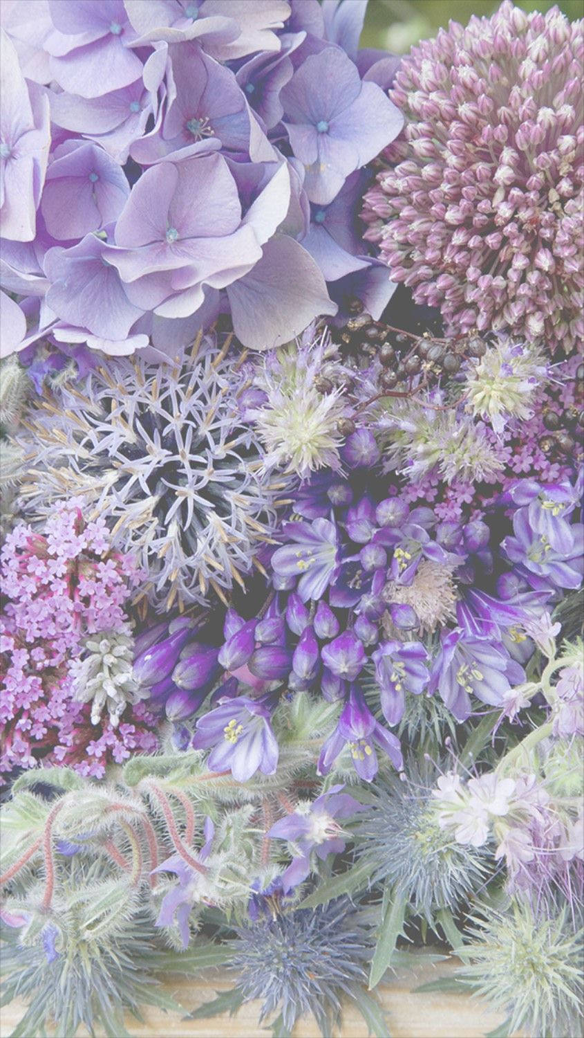 Lila ja violetti kukkiva iPhone Taustakuvat