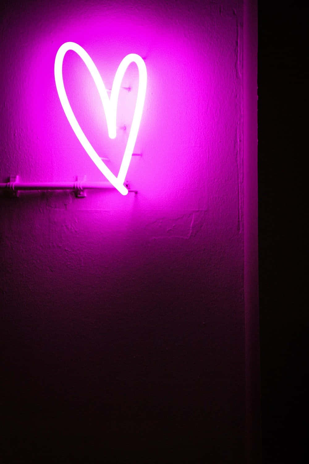 Lila LED-neonsydänmuotokuva Taustakuvat