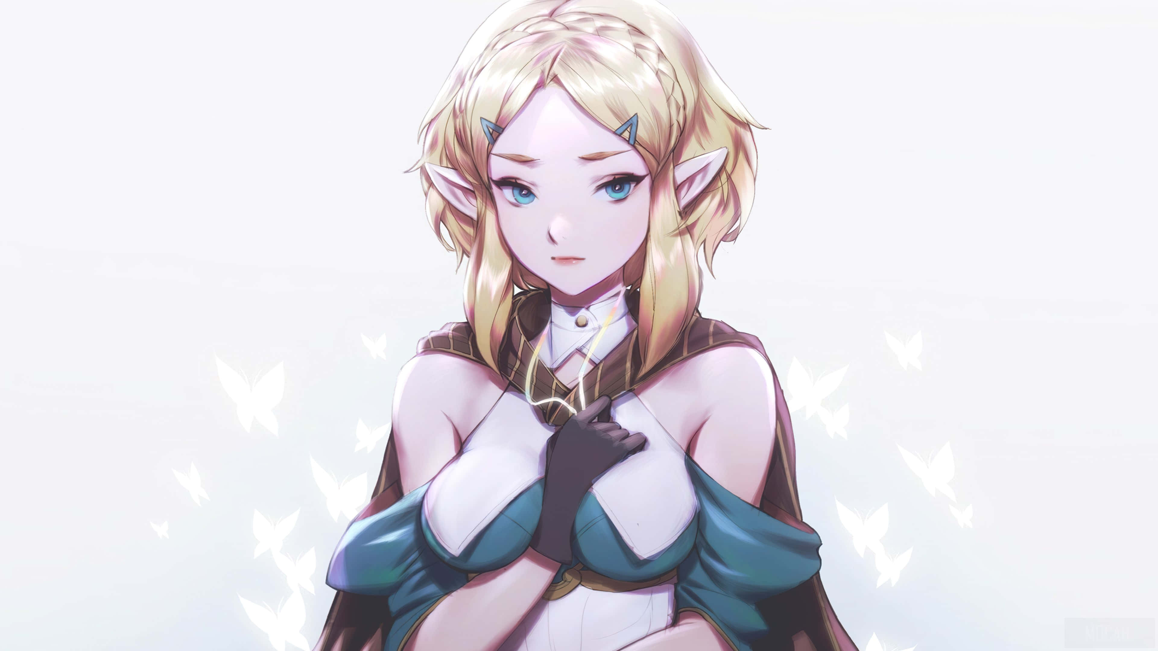 Link, Hyrulen sankari Taustakuvat