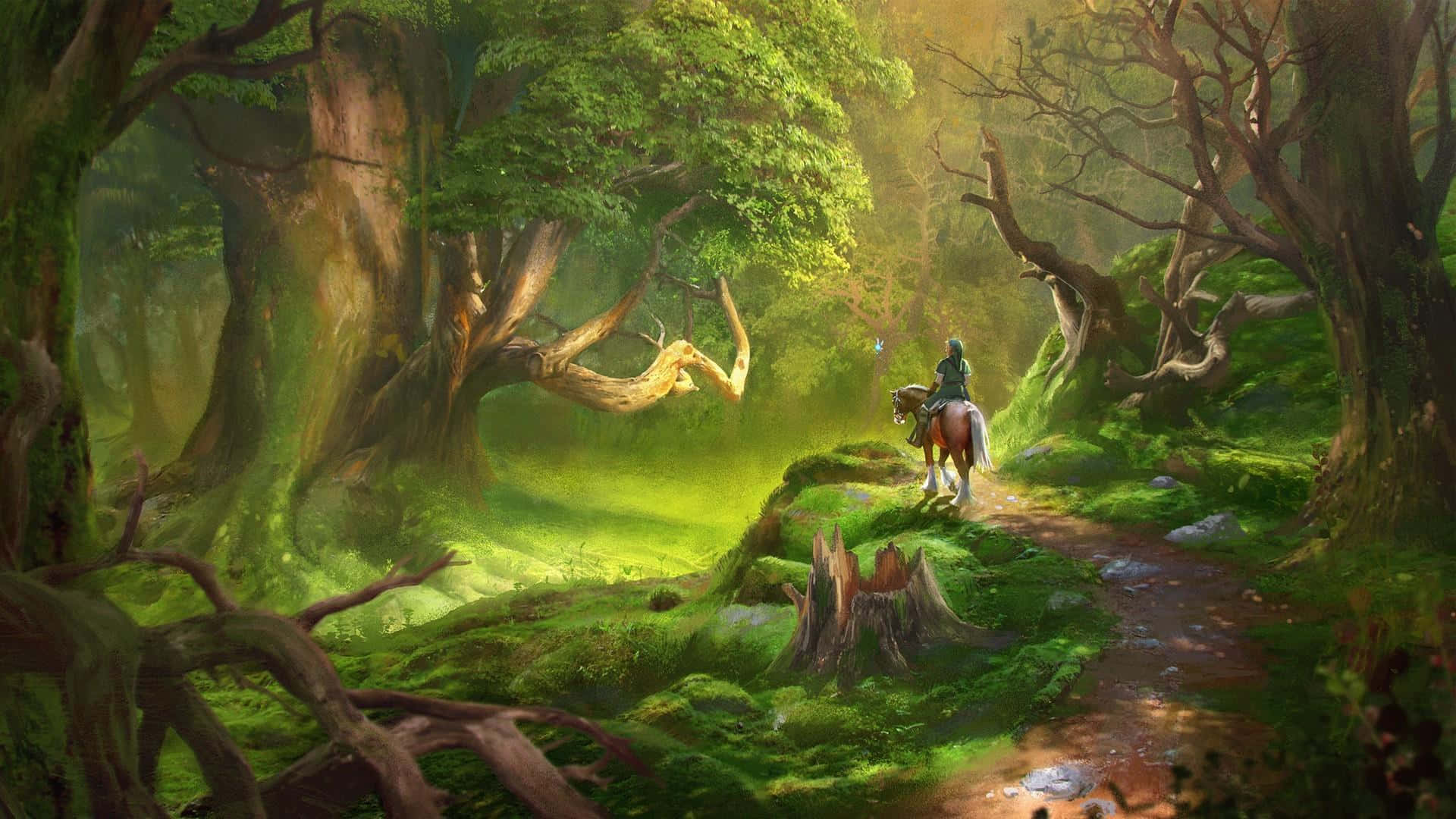 Link, urhea aikasankari Legend of Zeldassa Taustakuvat