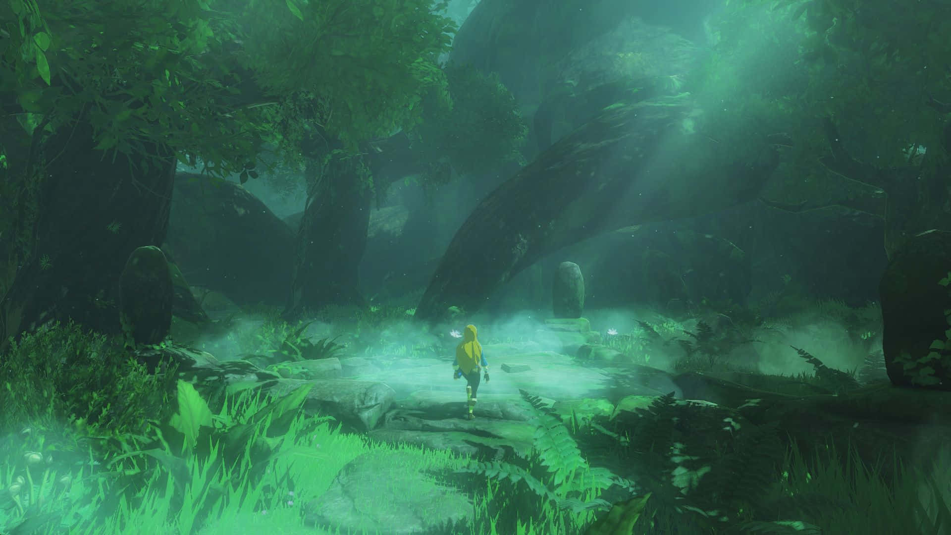 Linkin matka halki The Legend of Zelda -maailman Taustakuvat