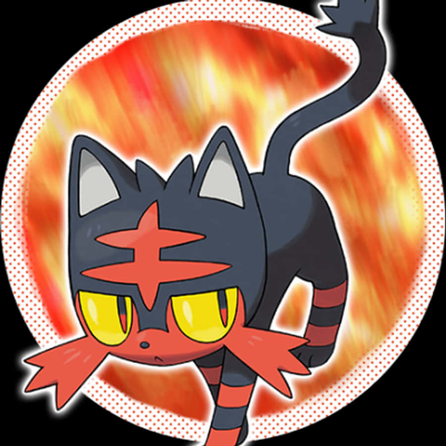 Litten oranssin ympyrän kera Taustakuvat