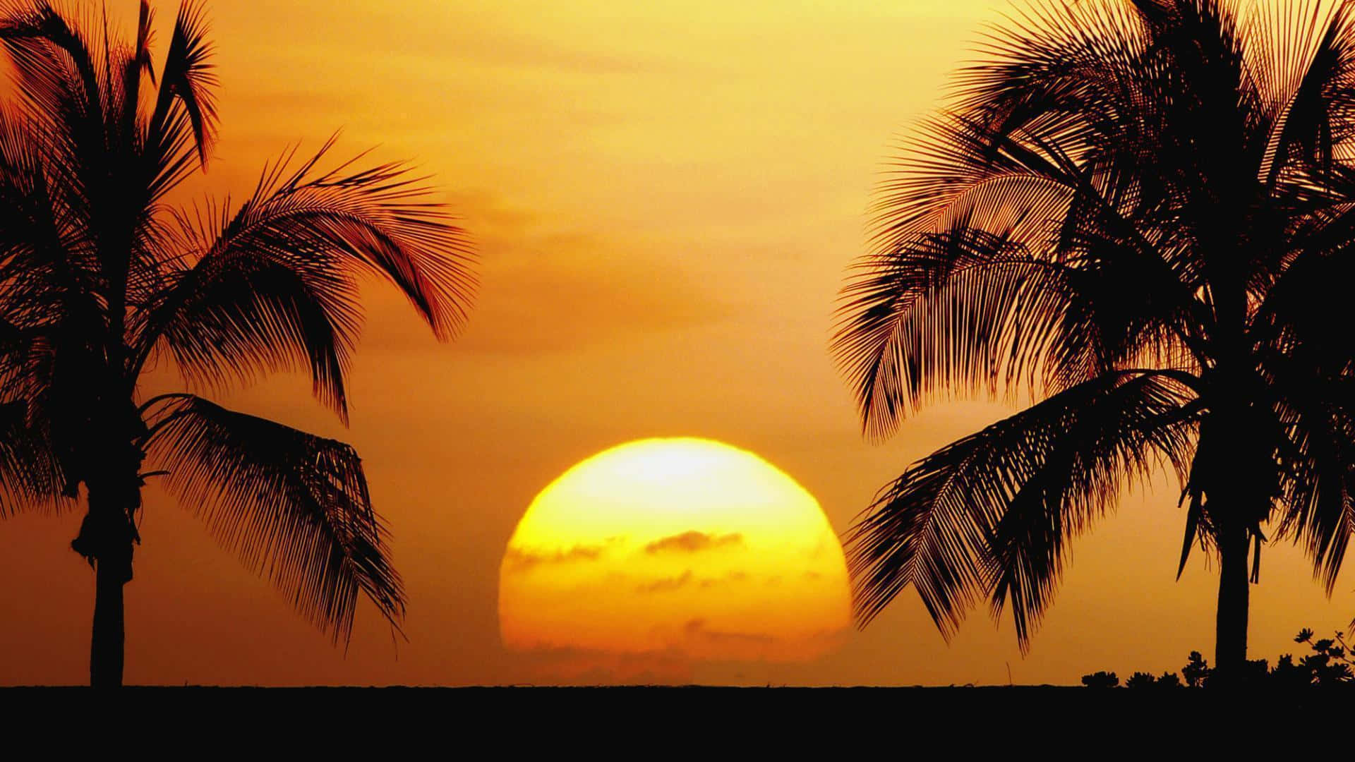 Loputon auringonpaiste rannalla Taustakuvat
