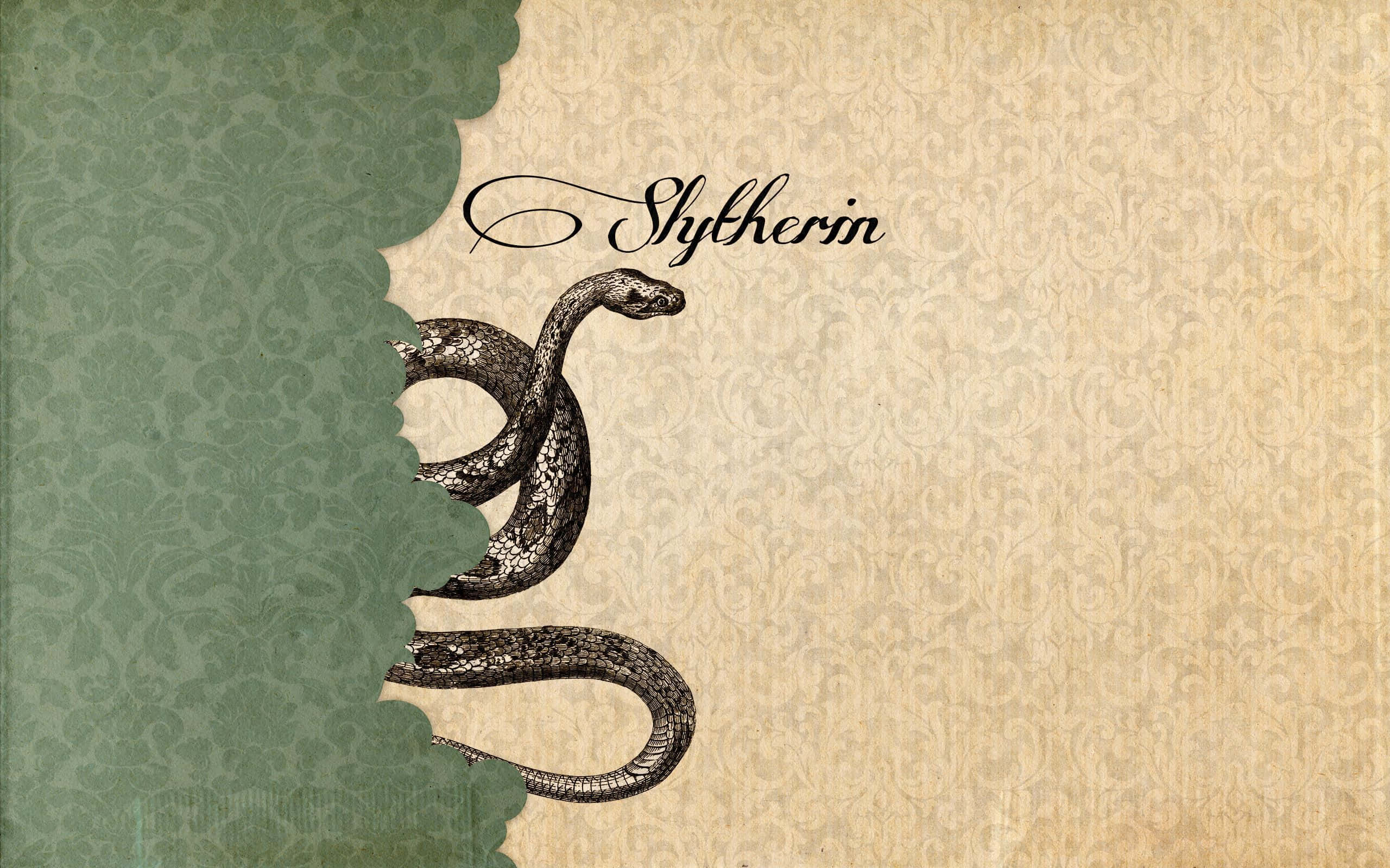 Löydä Slytherin-estetiikan salaperäinen viehätys 🐍 Taustakuvat