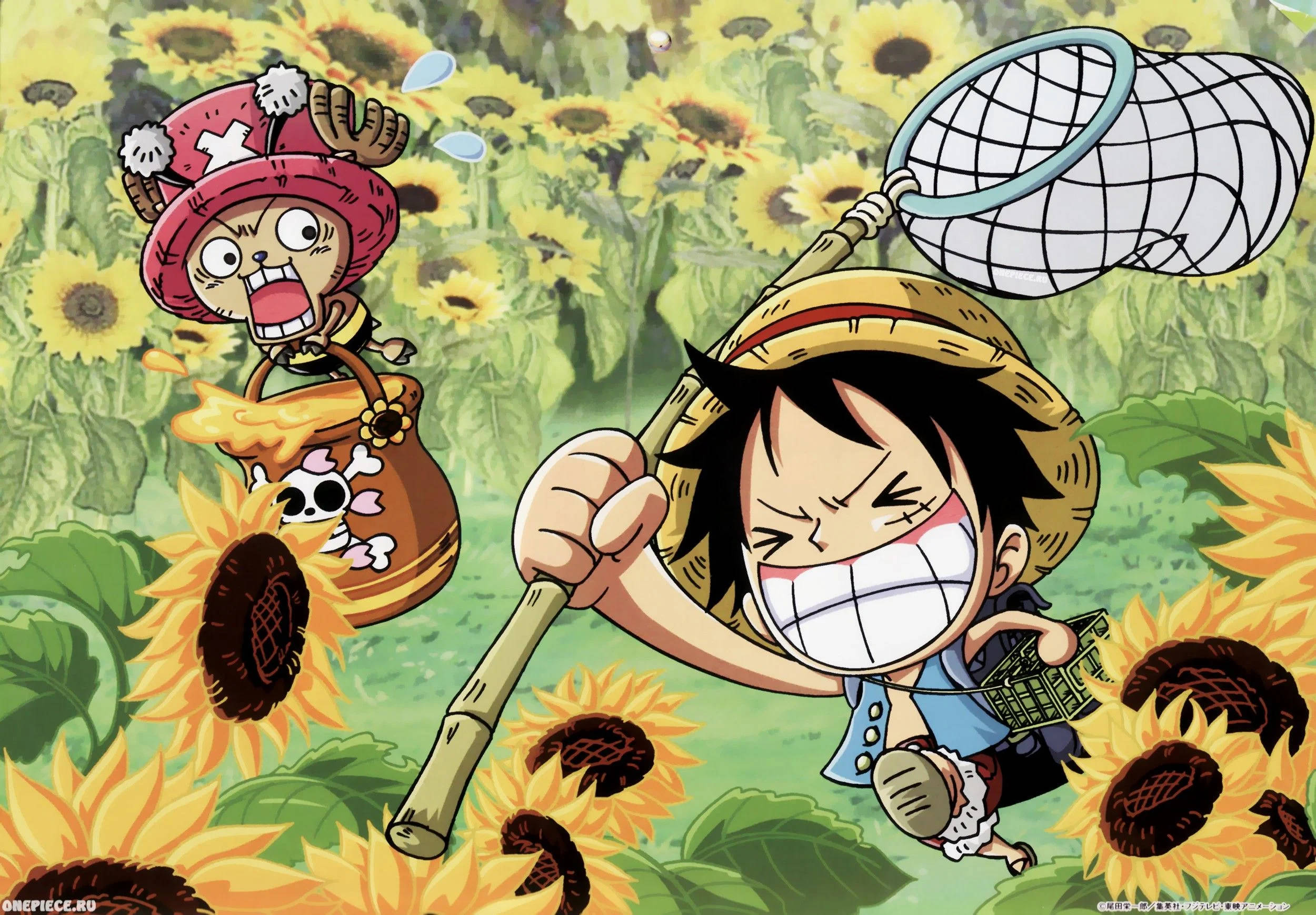 Luffy ja Chopper hauska anime Taustakuvat