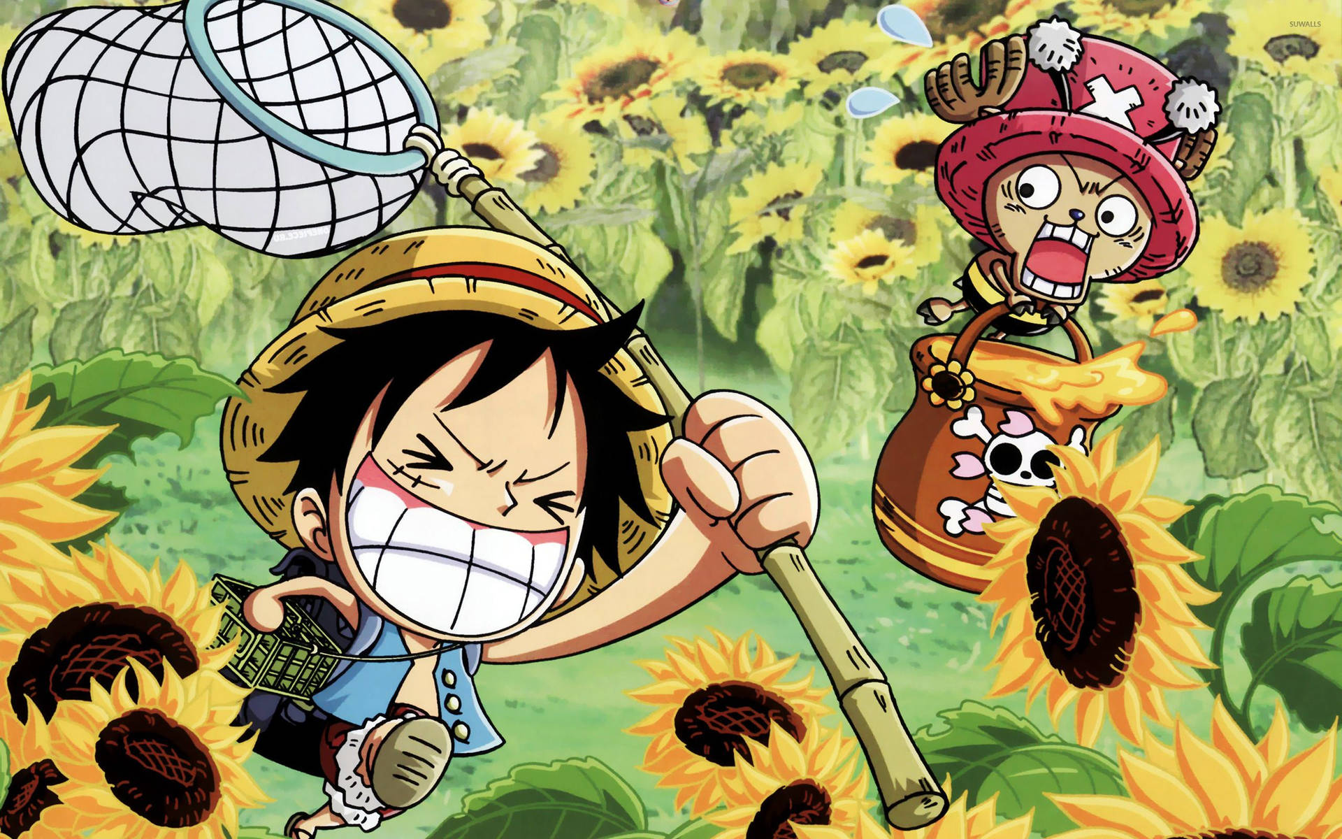 One Piece Luffy ja Chopper auringonkukkakentällä -taustakuva.