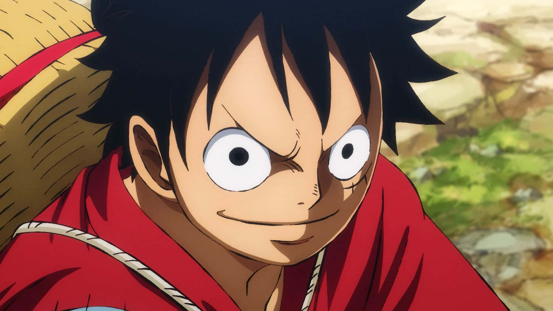 Luffy, merirosvokuningas! Taustakuvat