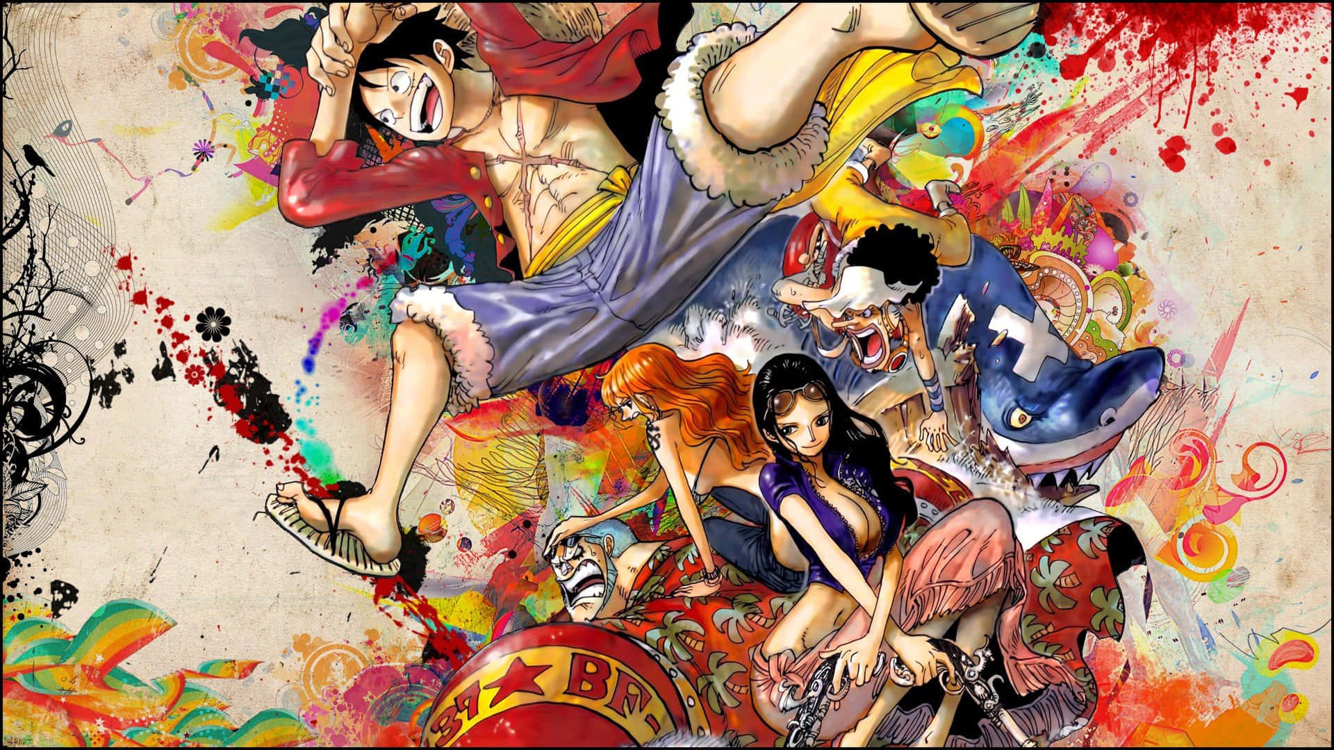 Luffy, Strawhat-merirosvojen sydän Taustakuvat