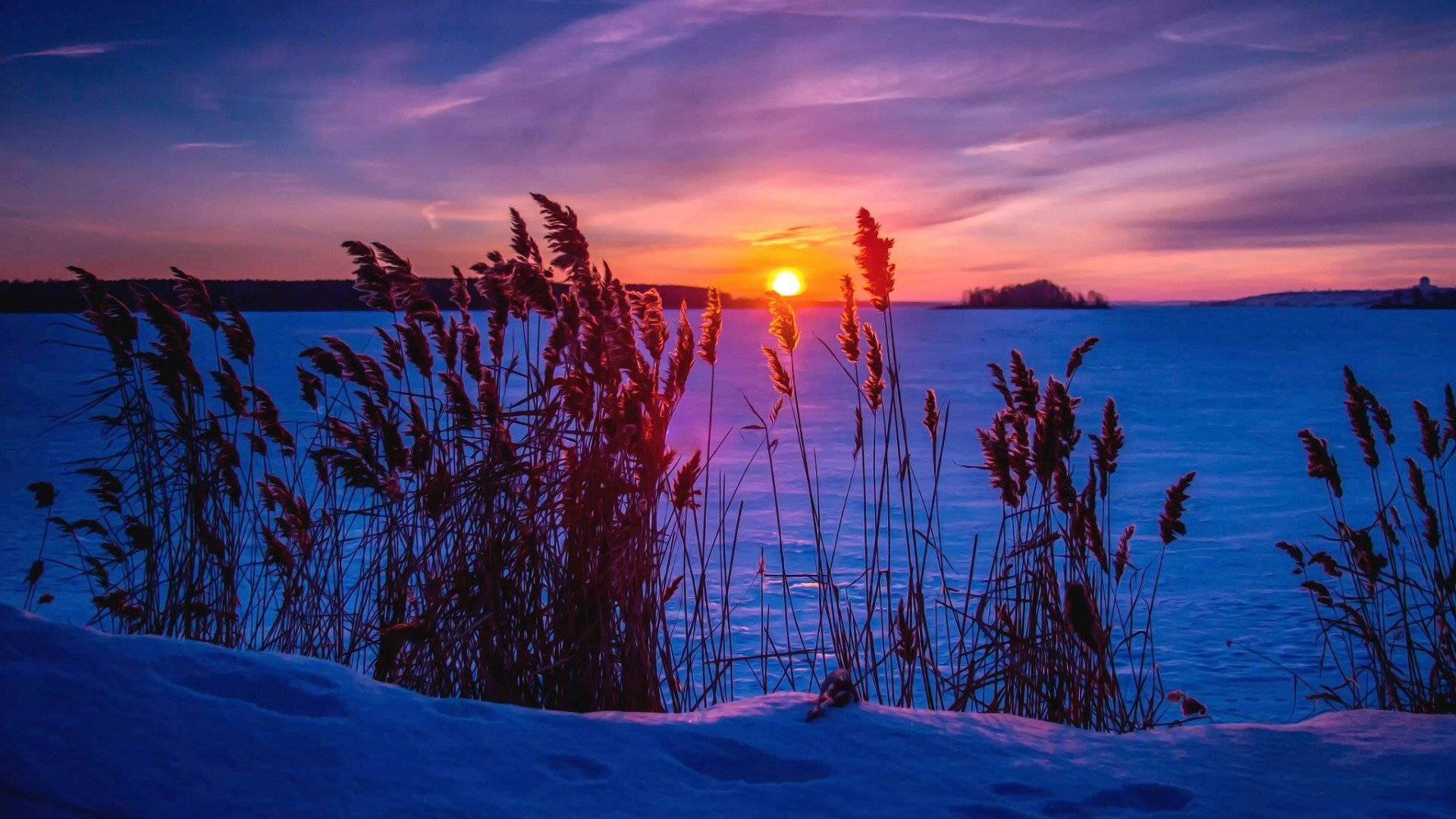 Lumisen aamunkoiton estetiikka Taustakuvat