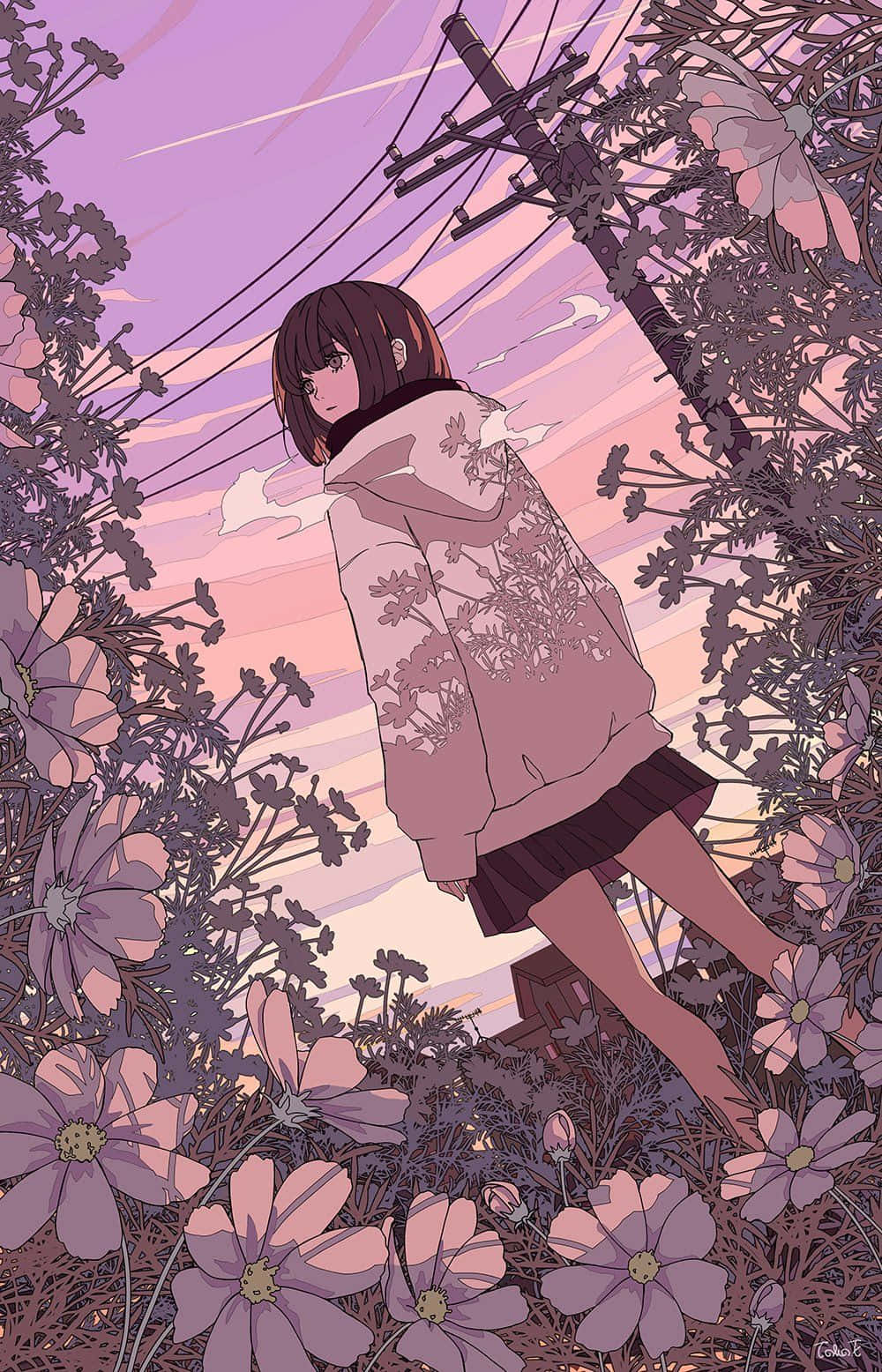 Lumoava anime-maisema auringonlaskussa Taustakuvat