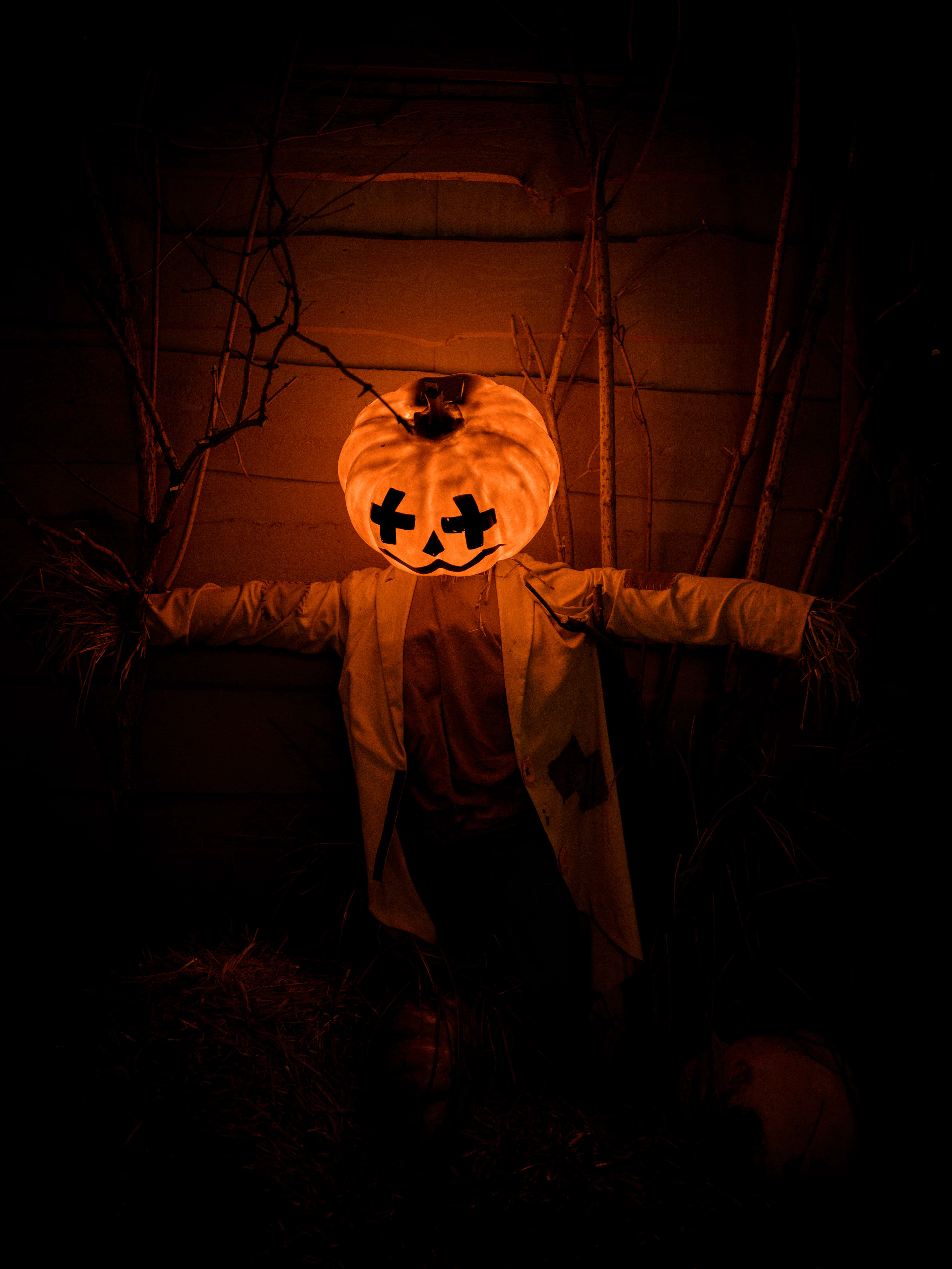 Lumoava Hallowe’en-kurpitsa syysyössä Taustakuvat
