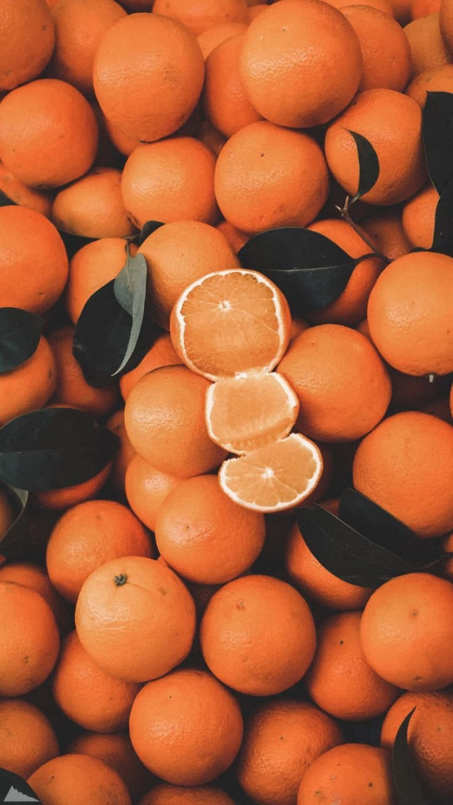 Luonnonkauneus on moniväristä, mukaan lukien oranssi 🍊 Taustakuvat